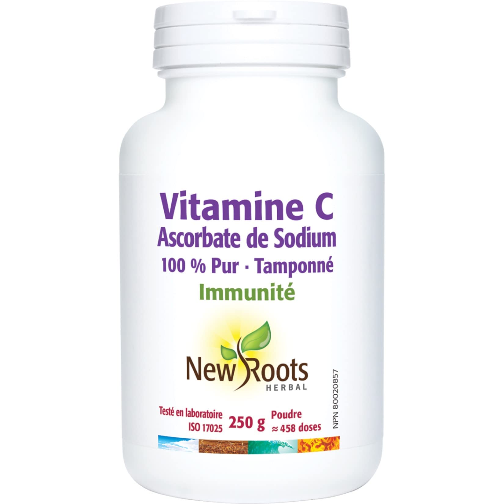 New Roots Herbal Vitamine C Ascorbate de Sodium Pure en Poudre 250g, Tamponnée et Douce pour l'Estomac, Soutient la Santé des Os, Dents, Gencives et Cartilages, 458 Portions