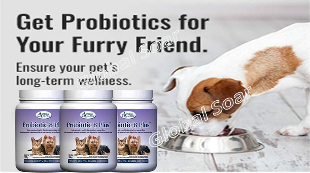 Omega Alpha Probiotic 8 Plus Poudre pour Chiens et Chats, Probiotiques pour Chiens - Soutient la Santé Intestinale, Améliore le Bien-être Digestif, la Santé des Yeux, des Dents et des Gencives, Formulé par des Vétérinaires, Fabriqué au Canada
