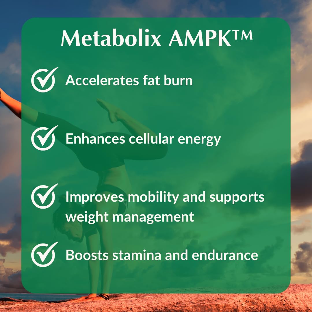 Provita Metabolix AMPK™ : Booster d'énergie cellulaire – Favorise un métabolisme sain du glucose et réduit le taux de lipides sanguins (60 capsules)