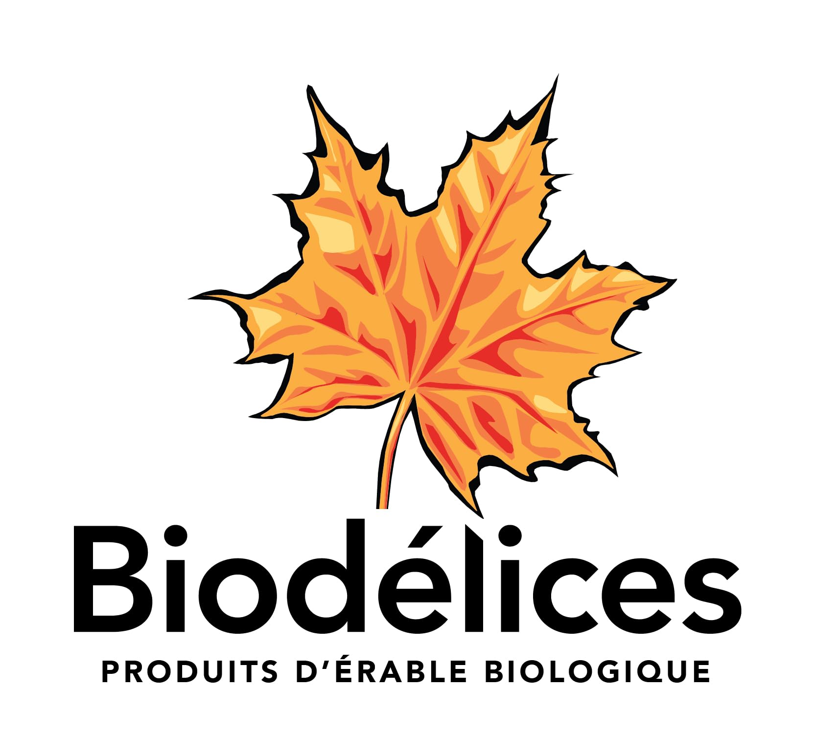 Biodélices 100% Pure Organic Maple Syrup - Grade A - Quebec's Finest in Elegant Maple Leaf Bottle