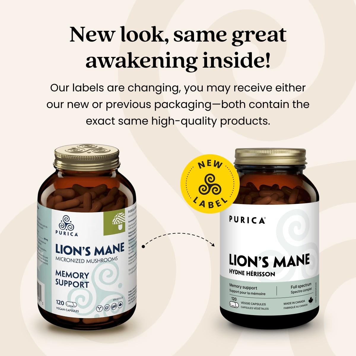 PURICA Crinière de Lion Biologique - Complément pour la Santé Cérébrale, Mémoire et Concentration, Gélules 100% Naturelles, Véganes