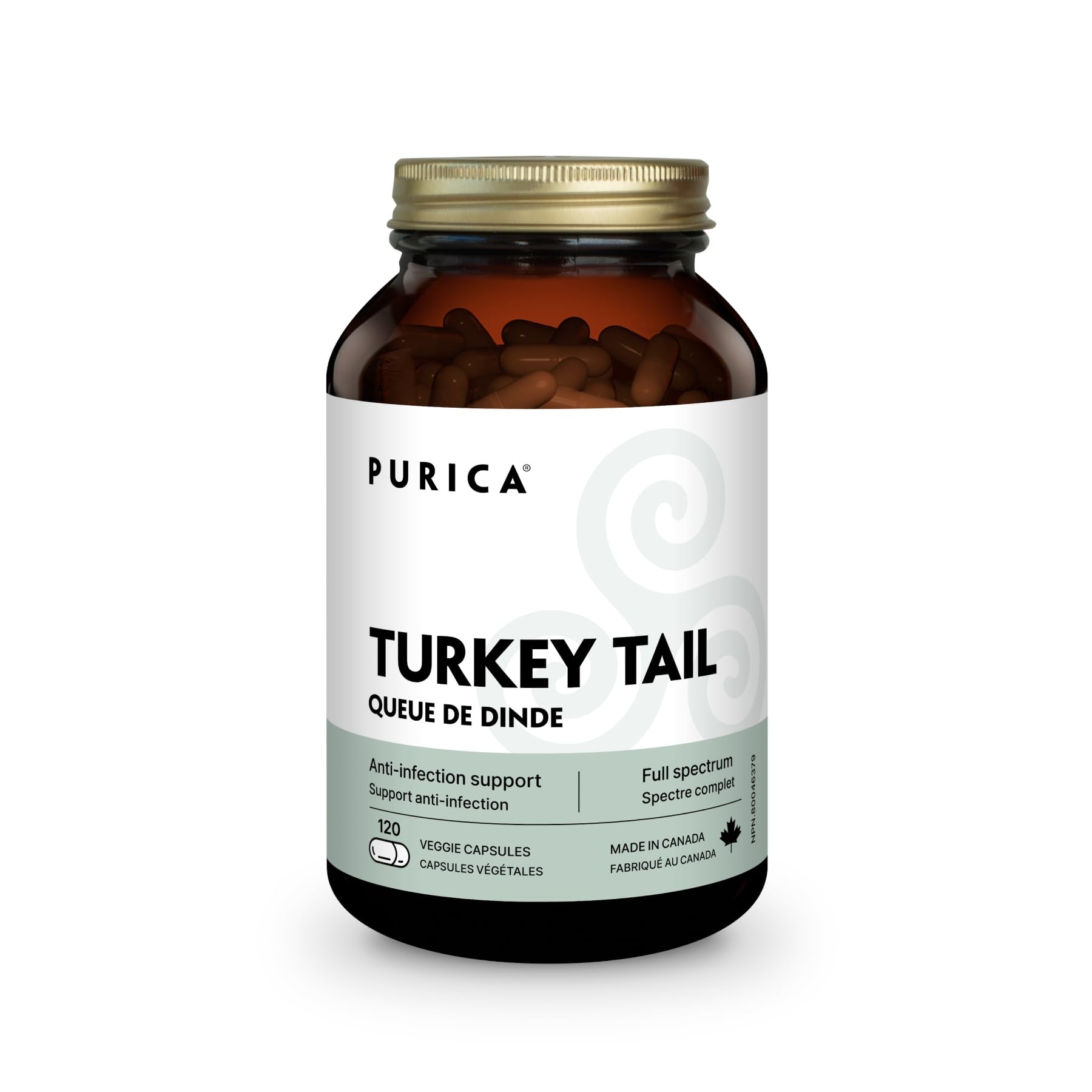 PURICA-P00024