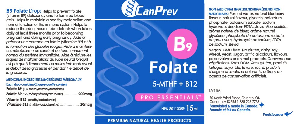 CANPREV - B9 Folate 200mcg avec Vitamine B12 20mcg, Gouttes 15ml 450 Portions - Saveur Naturelle de Myrtille - Favorise l'Énergie et la Vitalité - Absorption Améliorée des Nutriments - Végétalien, Sans OGM et Sans Gluten
