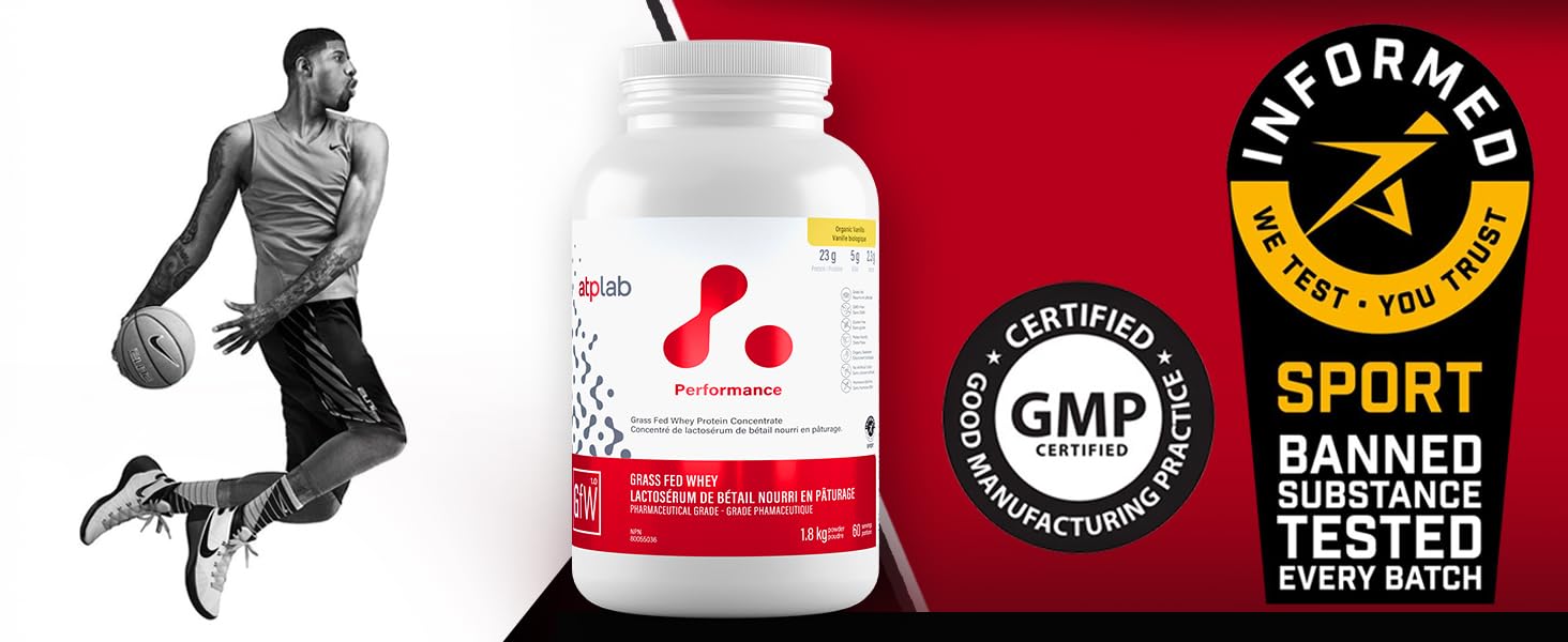 ATP LAB - Protéine de lactosérum de vaches nourries à l'herbe en poudre 1,8 kg (saveur chocolat) - Concentré de protéines de lactosérum - Récupération immunitaire, croissance musculaire