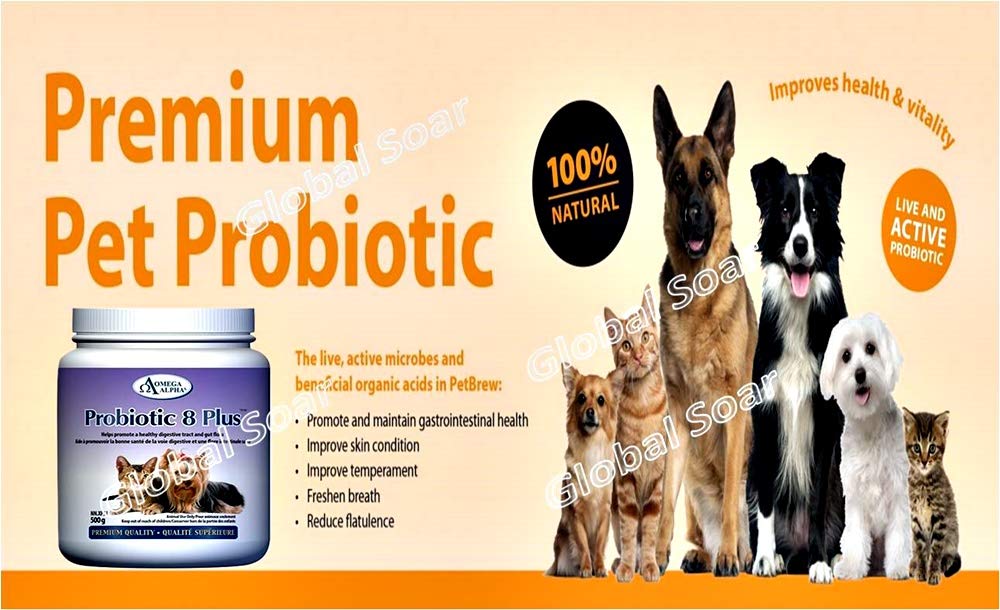 Omega Alpha Probiotic 8 Plus Poudre pour Chiens et Chats, Probiotiques pour Chiens - Soutient la Santé Intestinale, Améliore le Bien-être Digestif, la Santé des Yeux, des Dents et des Gencives, Formulé par des Vétérinaires, Fabriqué au Canada