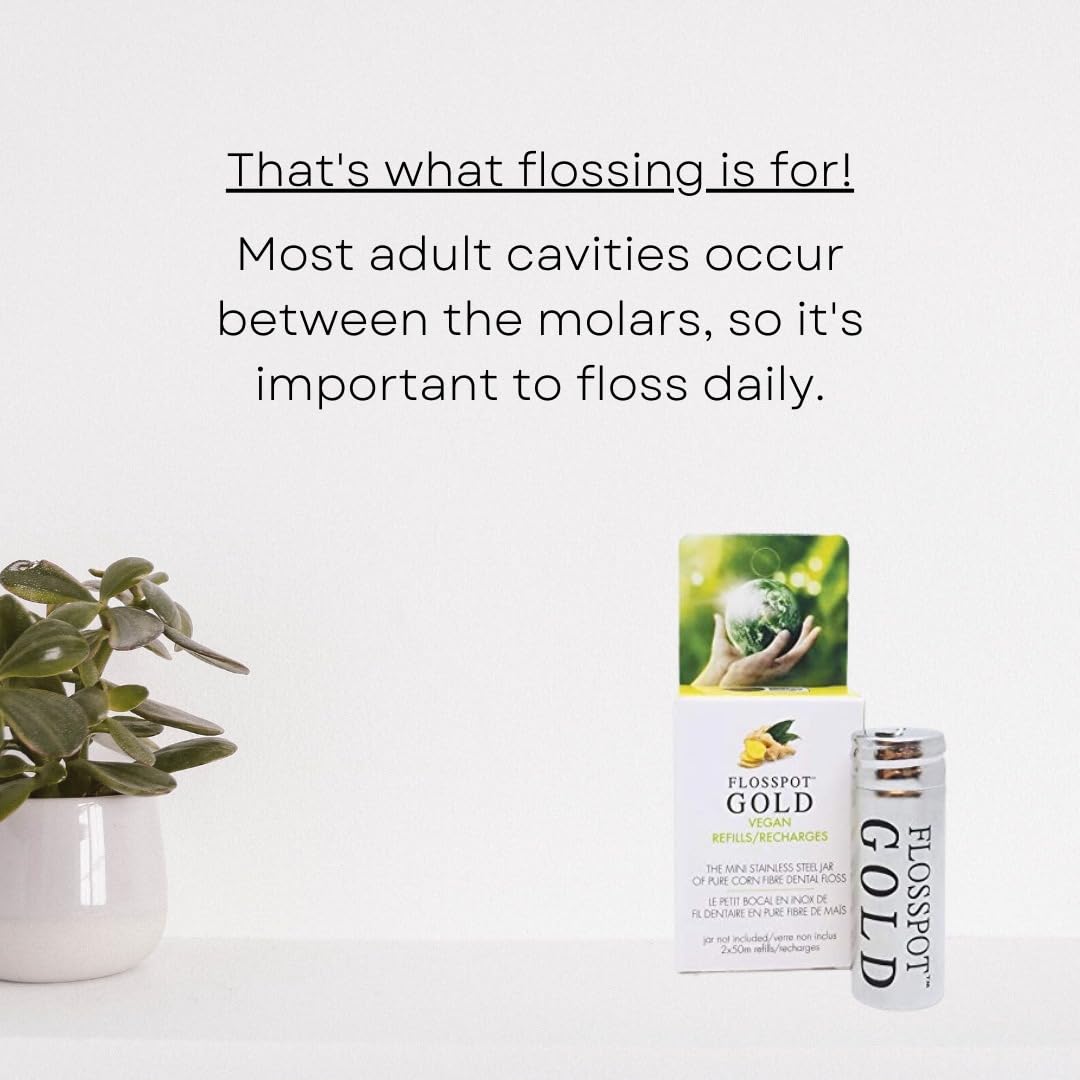 FLOSSPOT Vegan Gold Dental Floss | Mini Stainless Steel Jar - 50m | Eco-Friendly PLA & Candelilla Wax Coating | Ginger-Mint Flavor
