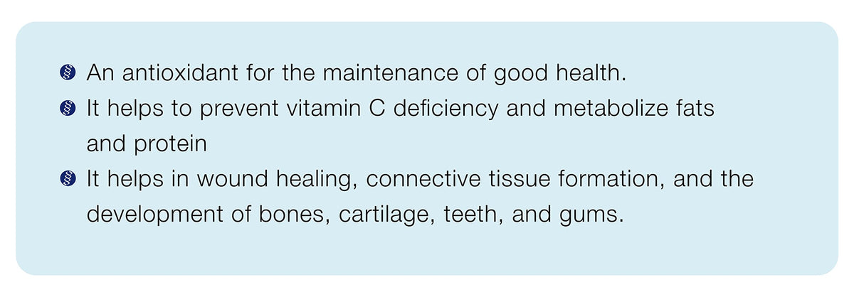 CanPrev Vitamin C 1000 mg Capsules, Vegan, Gluten Free, 240 Capsules