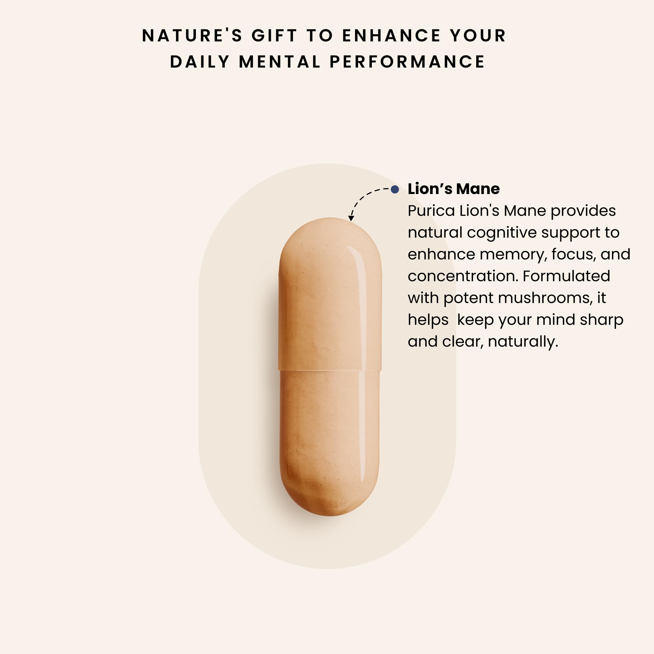 PURICA Crinière de Lion Biologique - Complément pour la Santé Cérébrale, Mémoire et Concentration, Gélules 100% Naturelles, Véganes
