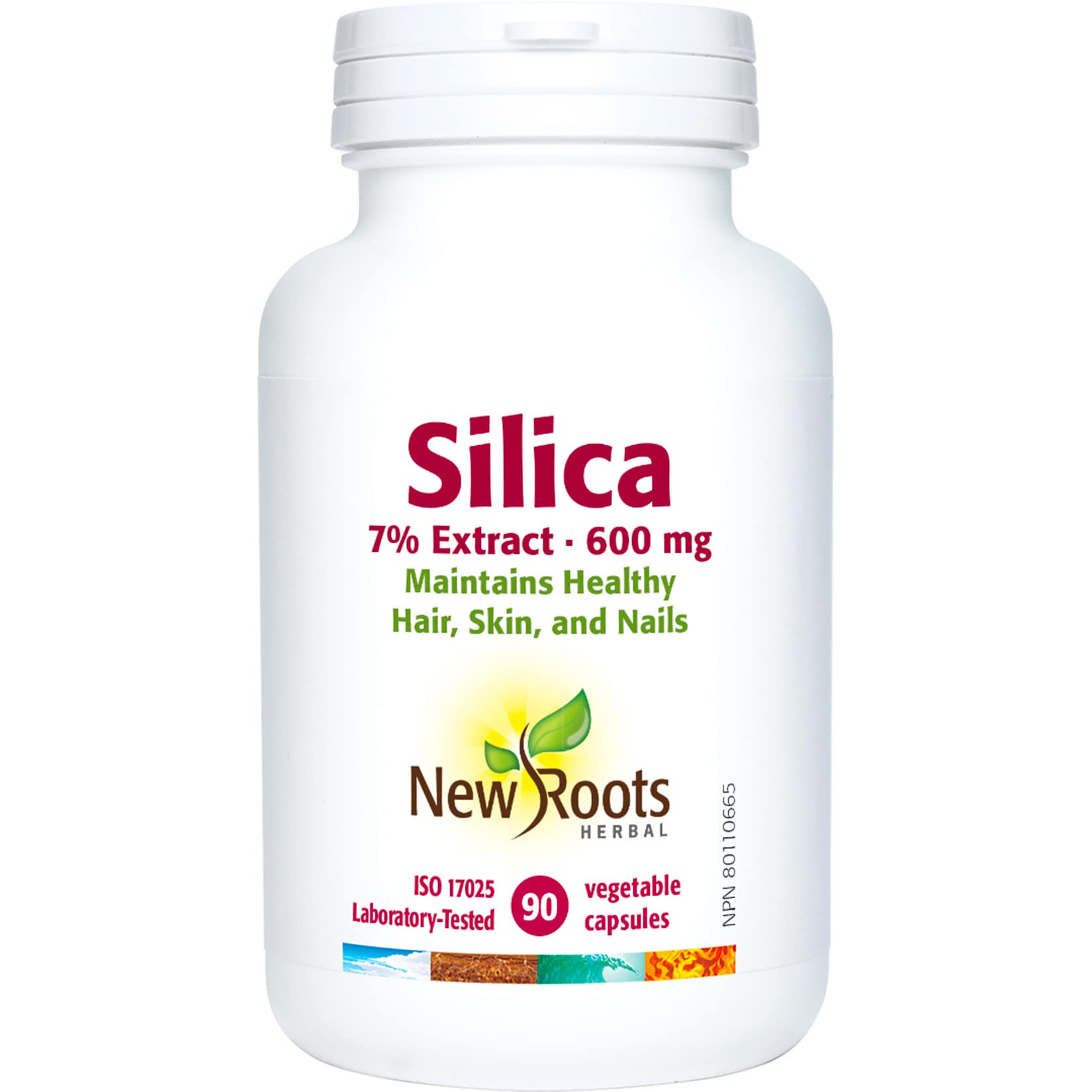 New Roots Herbal Silica 7% Extrait 600mg, 90 capsules végétales (approvisionnement de 45 jours) - Extrait de prêle standardisé, favorise la santé des cheveux, de la peau, des ongles et des os, maintient les tissus conjonctifs