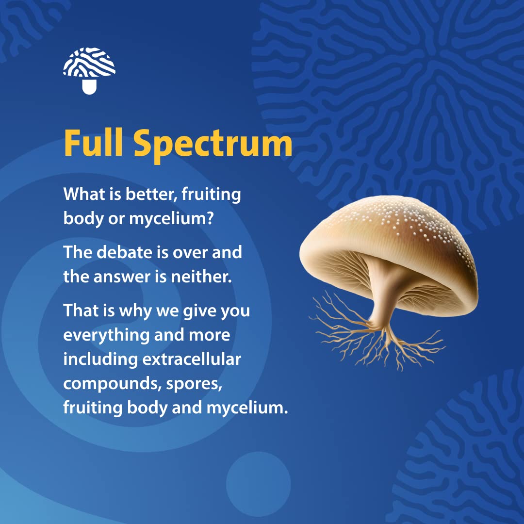 PURICA Cordyceps Champignons micronisés