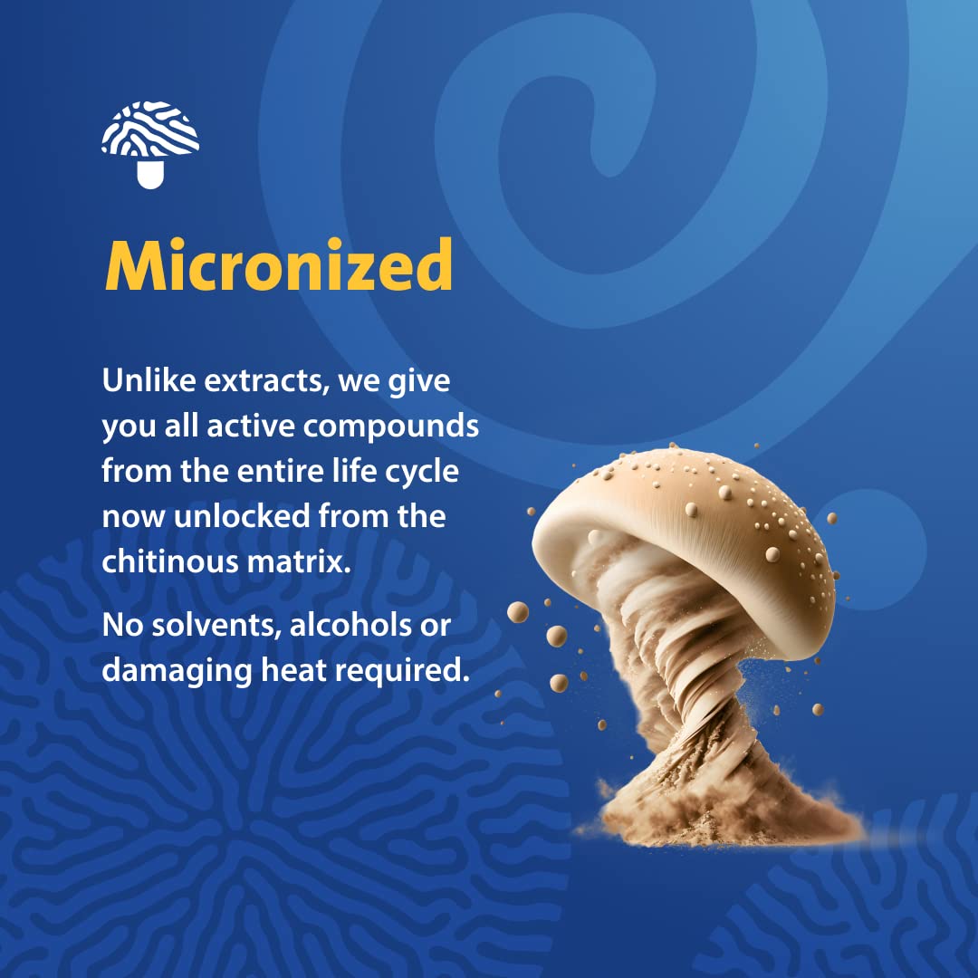 PURICA Cordyceps Champignons micronisés