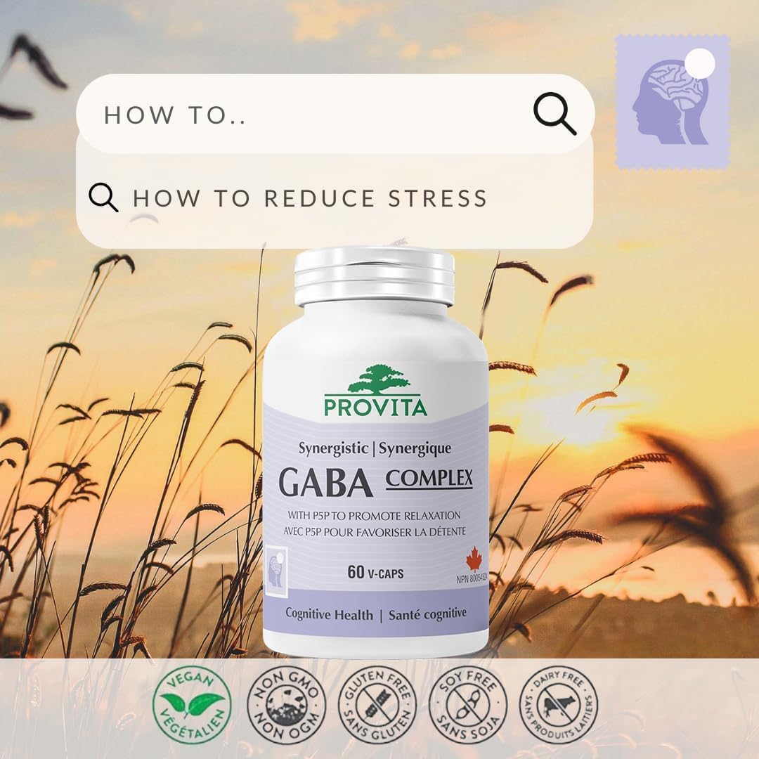 Provita Synergistic GABA Pro™ : Formule végane sans OGM pour une relaxation, un sommeil et une concentration améliorés (60 capsules)