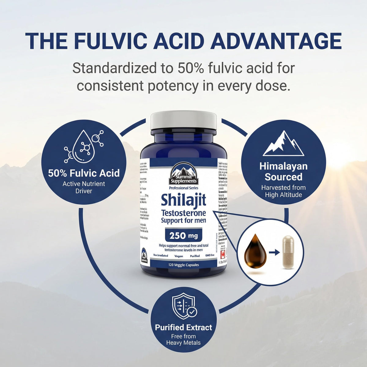 Summit Supplements Shilajit 250mg, 120 Veggie Capsules, 60-Day Supply, Purified with 50% Fulvic Acid, Supports Energy, Endurance & Nutrient Absorption