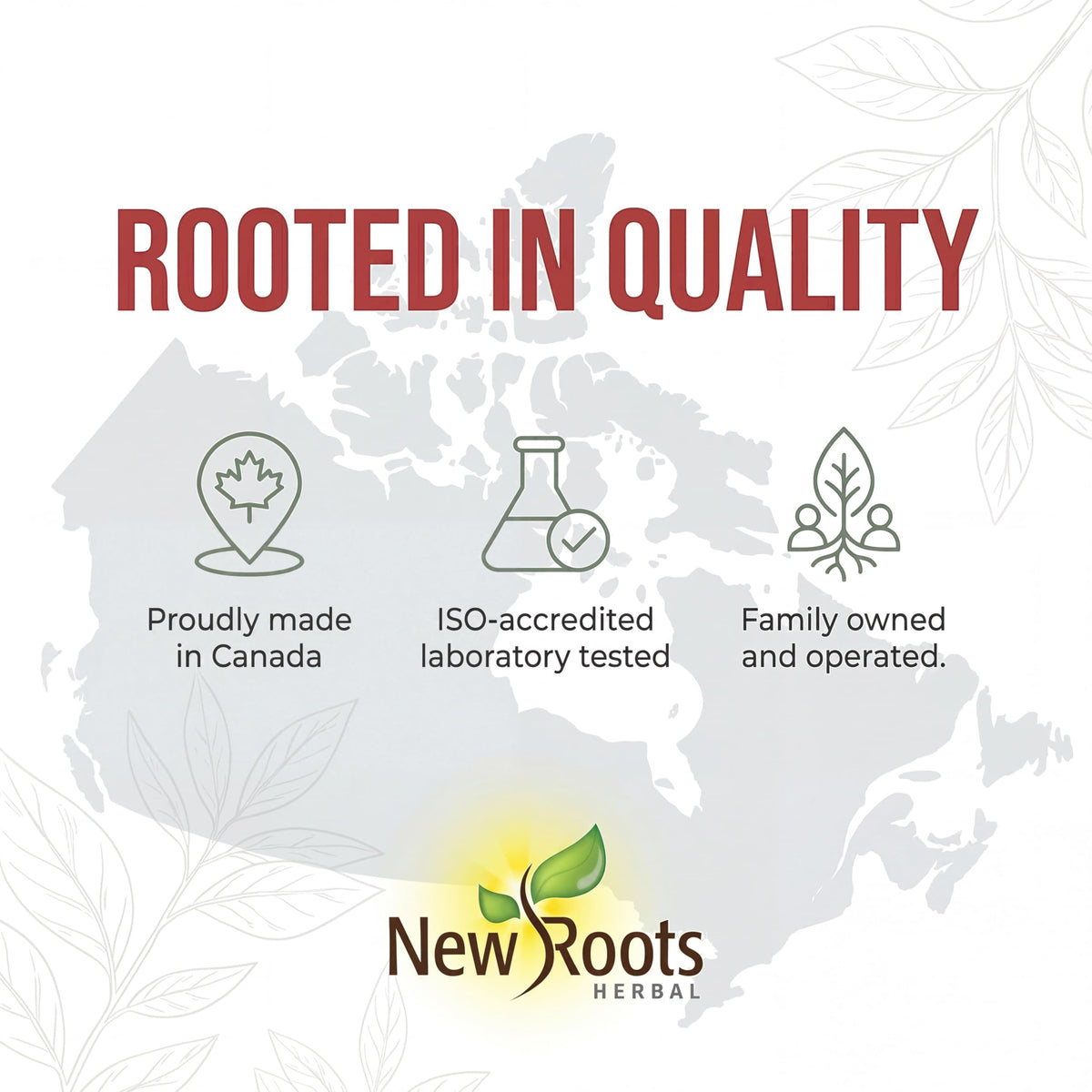 New Roots Herbal Chanca Piedra, 90 Plant-Based Capsules, 90 Day Supply for Optimal Urinary Tract Health and Digestion Support