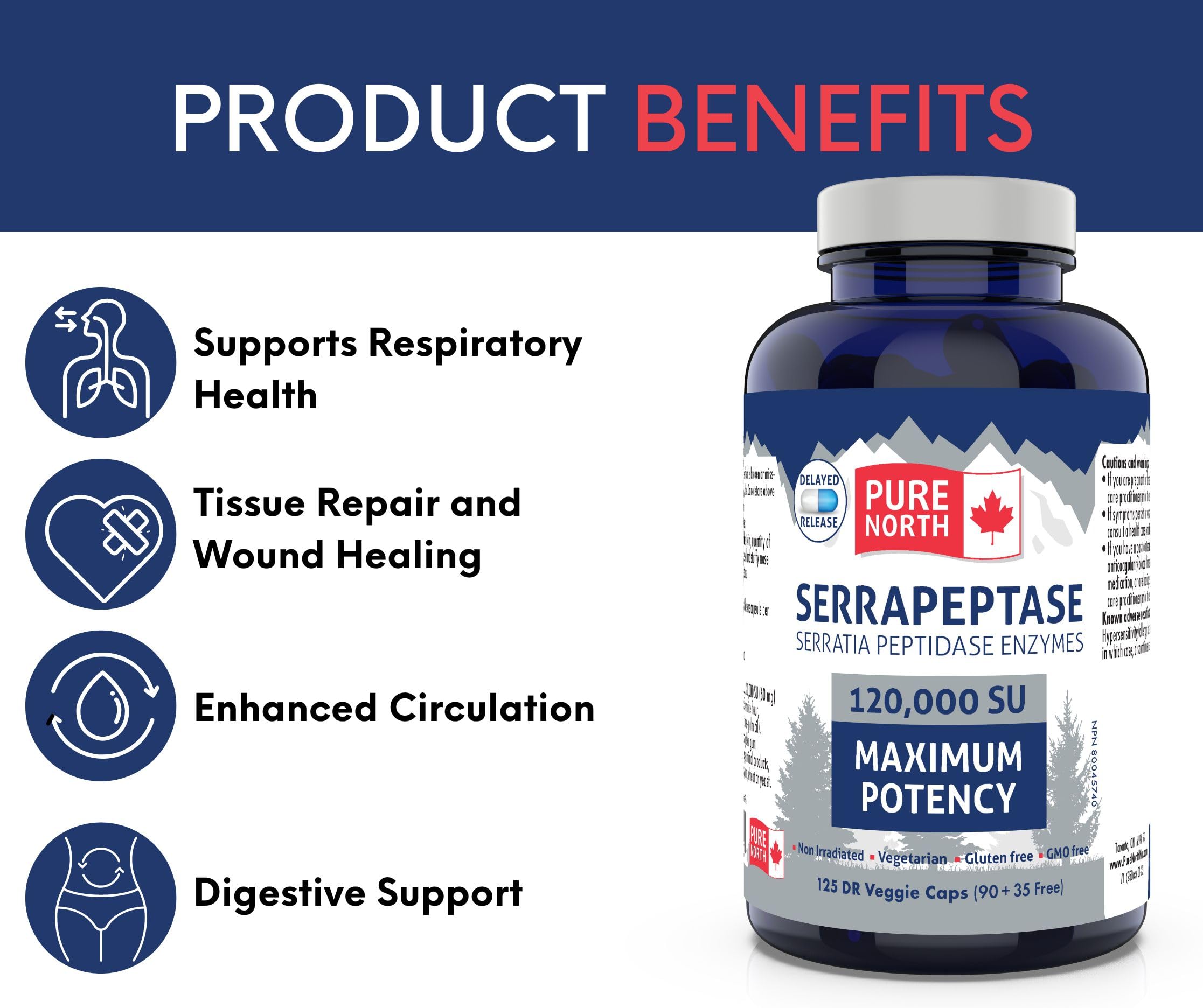 Pure North Naturals - Serrapeptase Enzymes Serratia Peptidase 120 000 SU Potence Maximale (90+35 Gélules) Approvisionnement de 125 Jours - Soutient la Santé Respiratoire - Testé par un Tiers - Formulé et Fabriqué au Canada