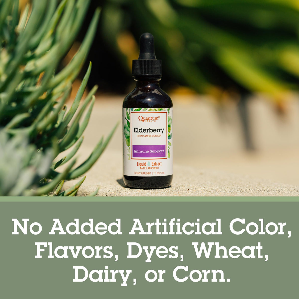 Quantum Health - Elderberry Standard Extract Liquid 60 ml
