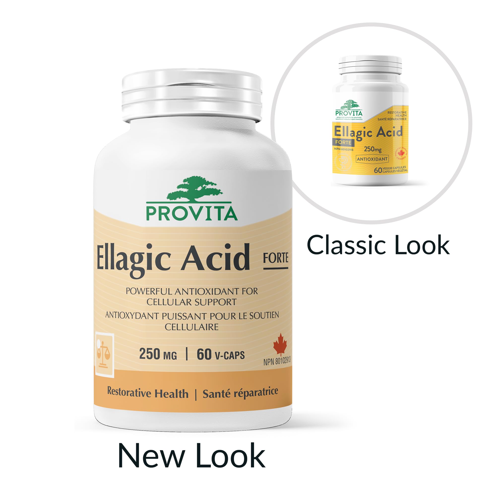 Acide ellagique Forte 250mg extrait de graines de grenade - 60 gélules végétales - Fabriqué au Canada par Provita