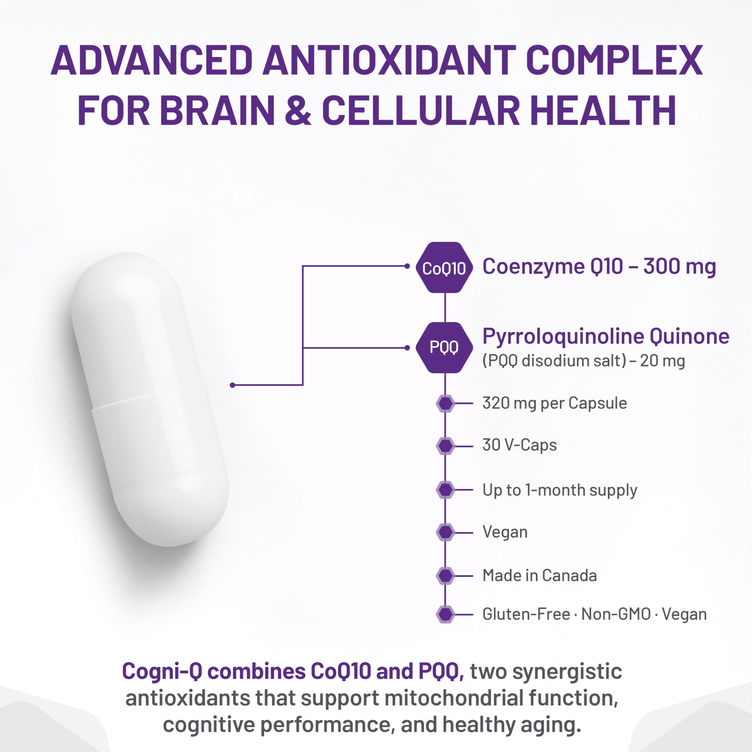 AOR Cogni-Q Coenzyme Q10