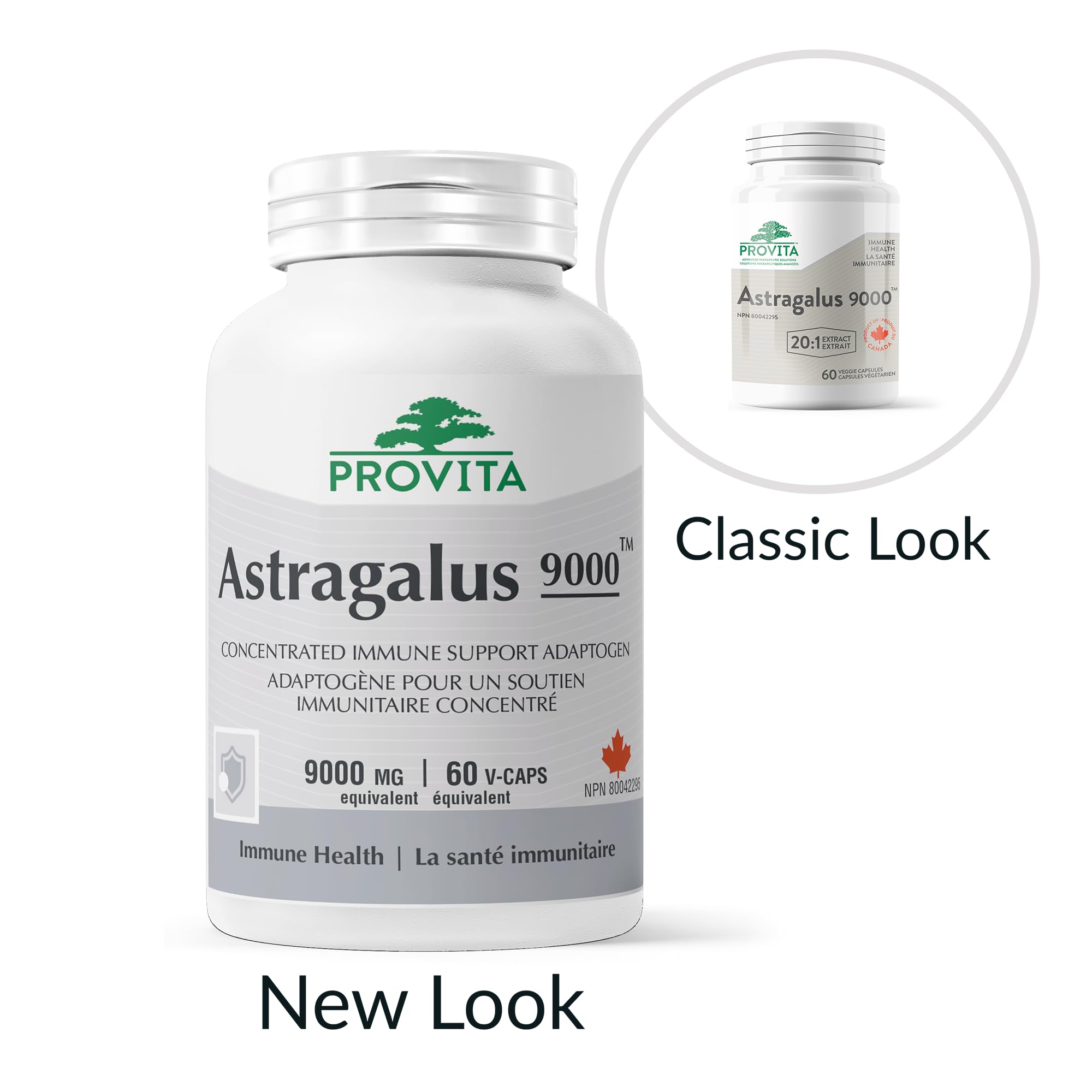 Astragalus 9000 by Provita Nutrition (Canadian Made) 60 Vegetarian Capsules