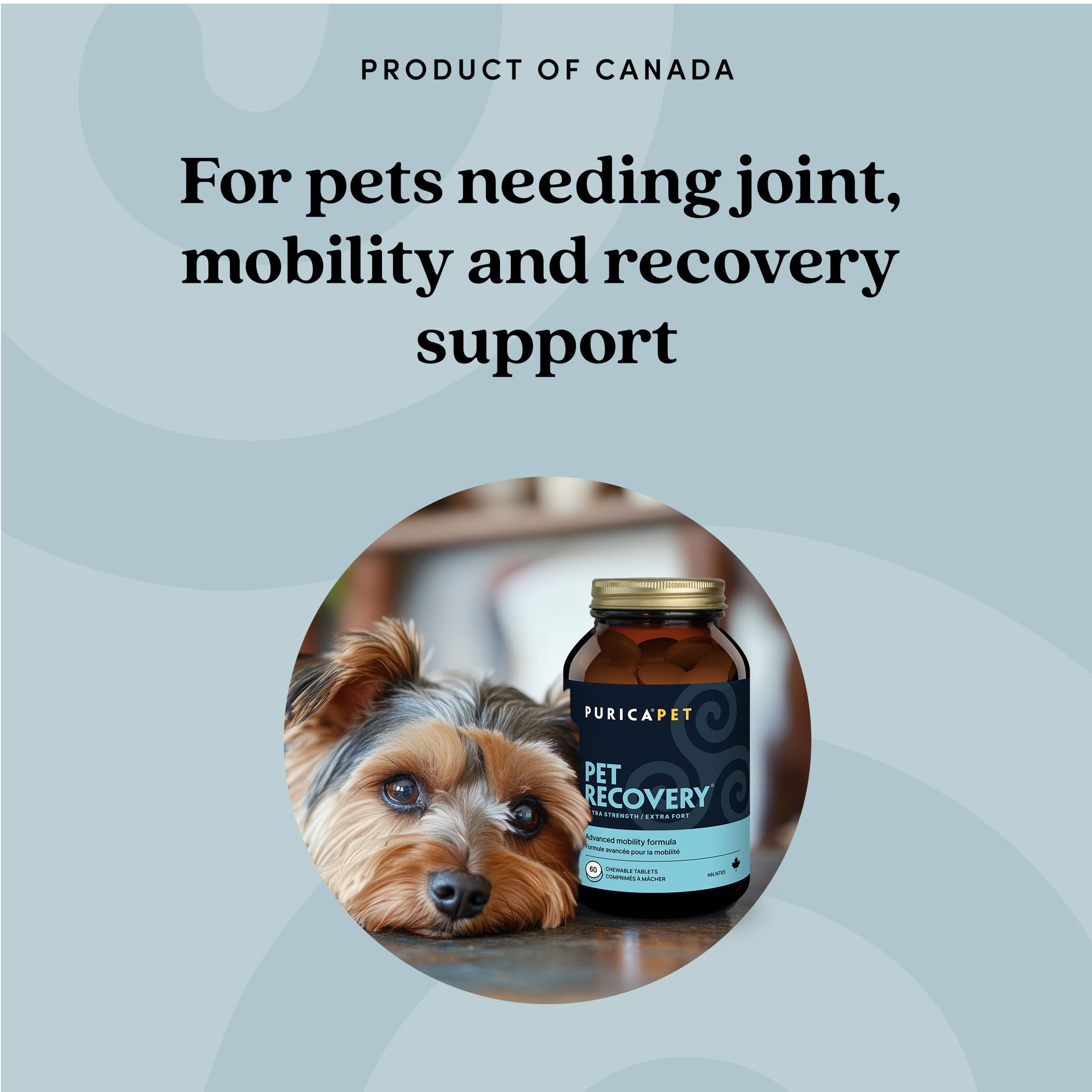 PURICA Récupération Animaux