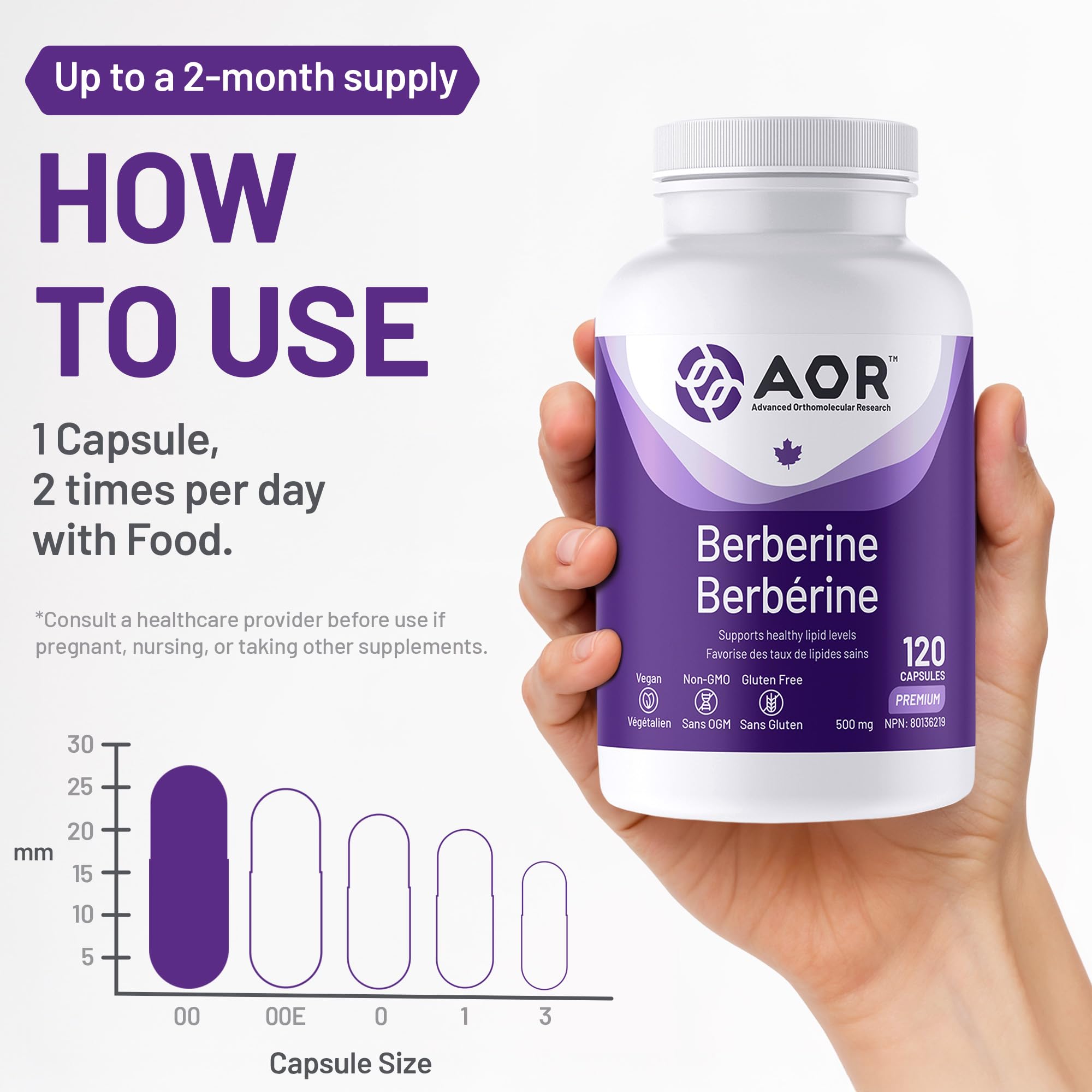 AOR - Berbérine 500mg - Complément de berbérine pour des taux lipidiques et un cholestérol sains, santé cardiovasculaire - Supplément pour abaisser le cholestérol LDL