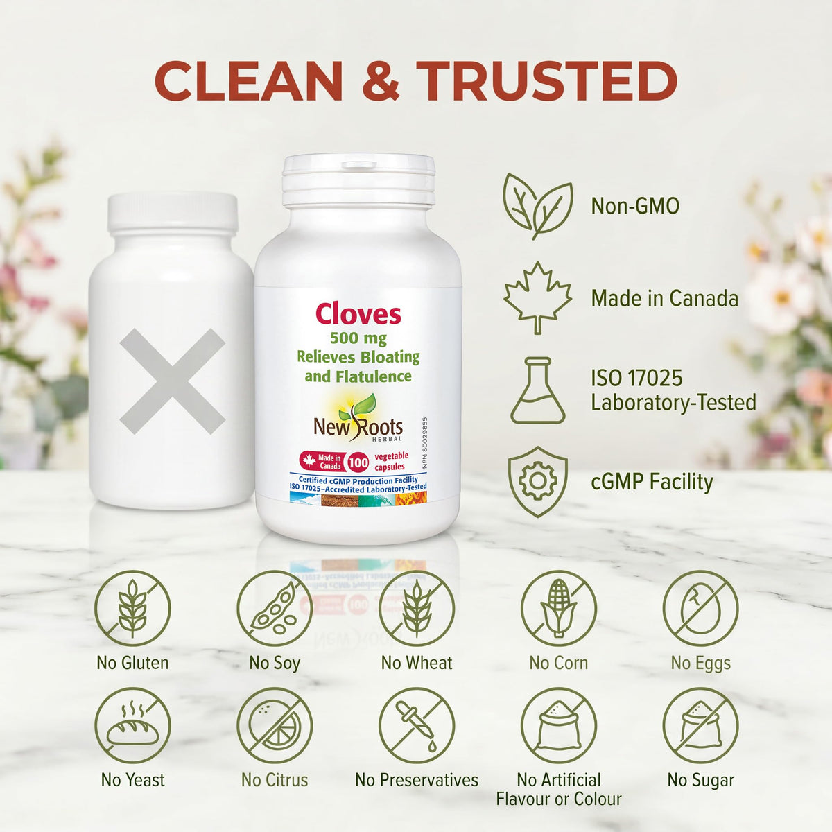 New Roots Herbal Clove Capsules, 500mg, 100 Veg Capsules, 100-Day Supply