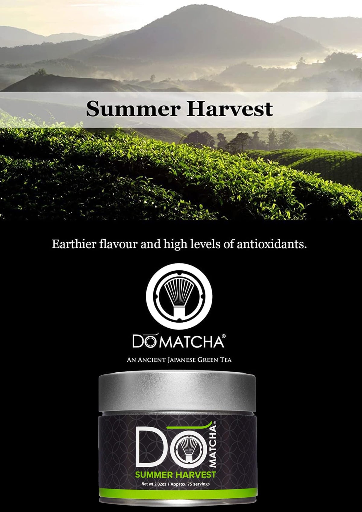 DoMatcha Summer Harvest Matcha Powder from Japan, Stone Ground, Green, 80g