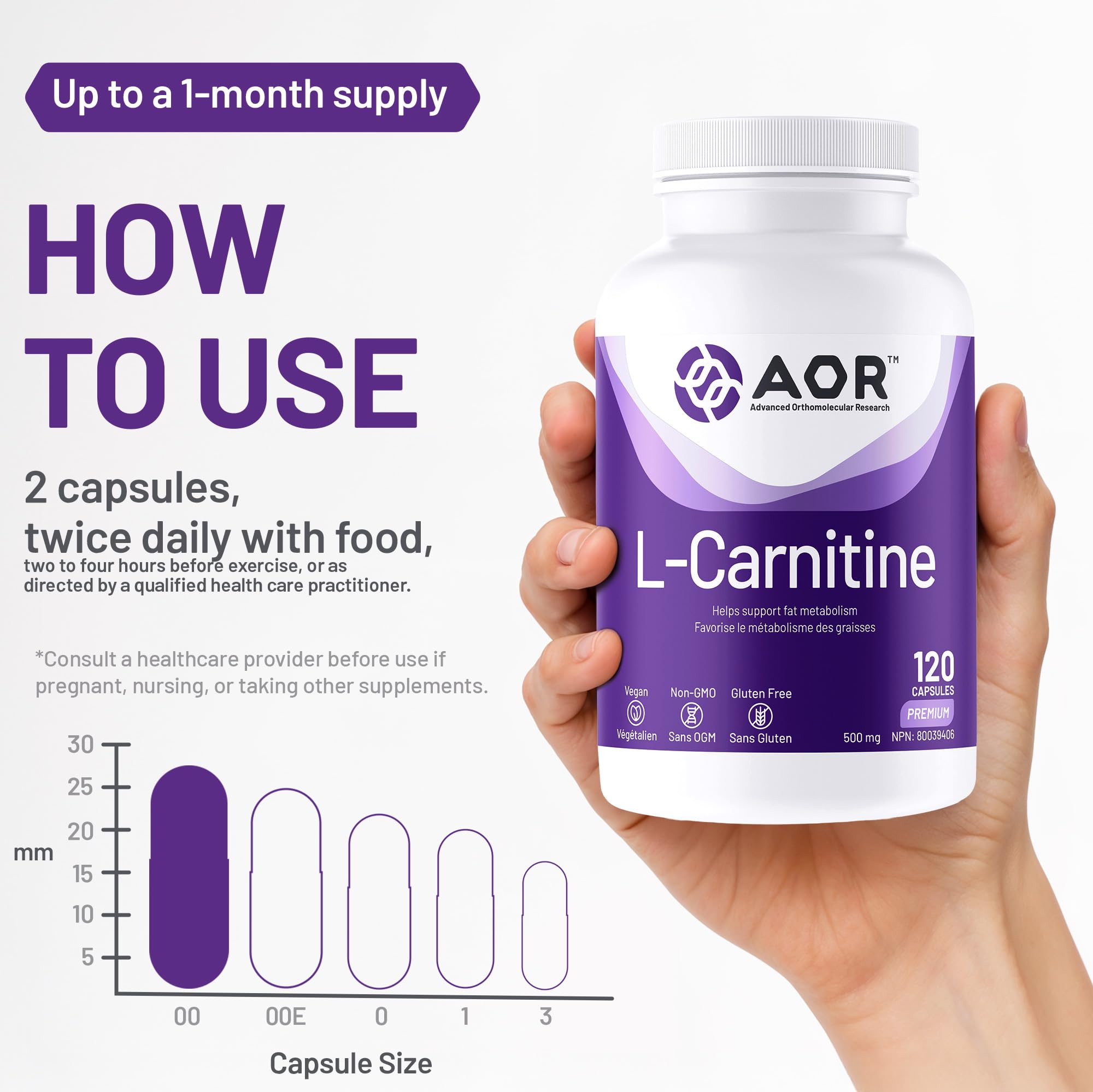AOR - L-Carnitine 500mg, 120 Capsules 30-Day Supply - L-Carnitine Tartrate, Supports Energy Metabolism, Muscle Recovery & Athletic Performance, Promotes Fitness Goals - Vegan, Non-GMO, & Gluten-Free