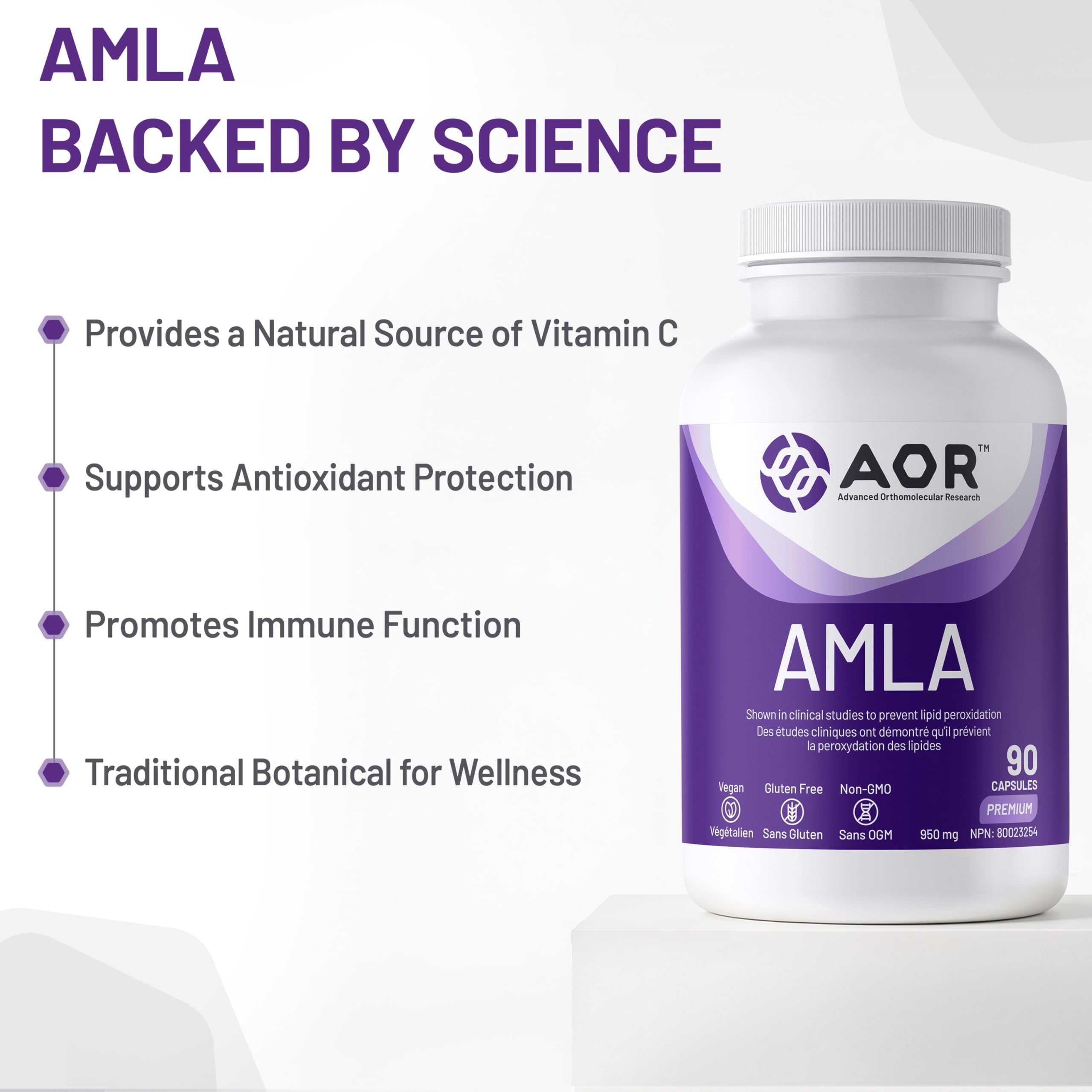 AOR Amla 950mg, 90 gélules (30 jours d'approvisionnement) - Complément d'Amla Biologique pour le Soutien du Cholestérol, Extrait d'Amla Puissant - Végétalien, Sans OGM et Sans Gluten - Aide à Maintenir le Bien-être Digestif et un Taux de Lipides Sain