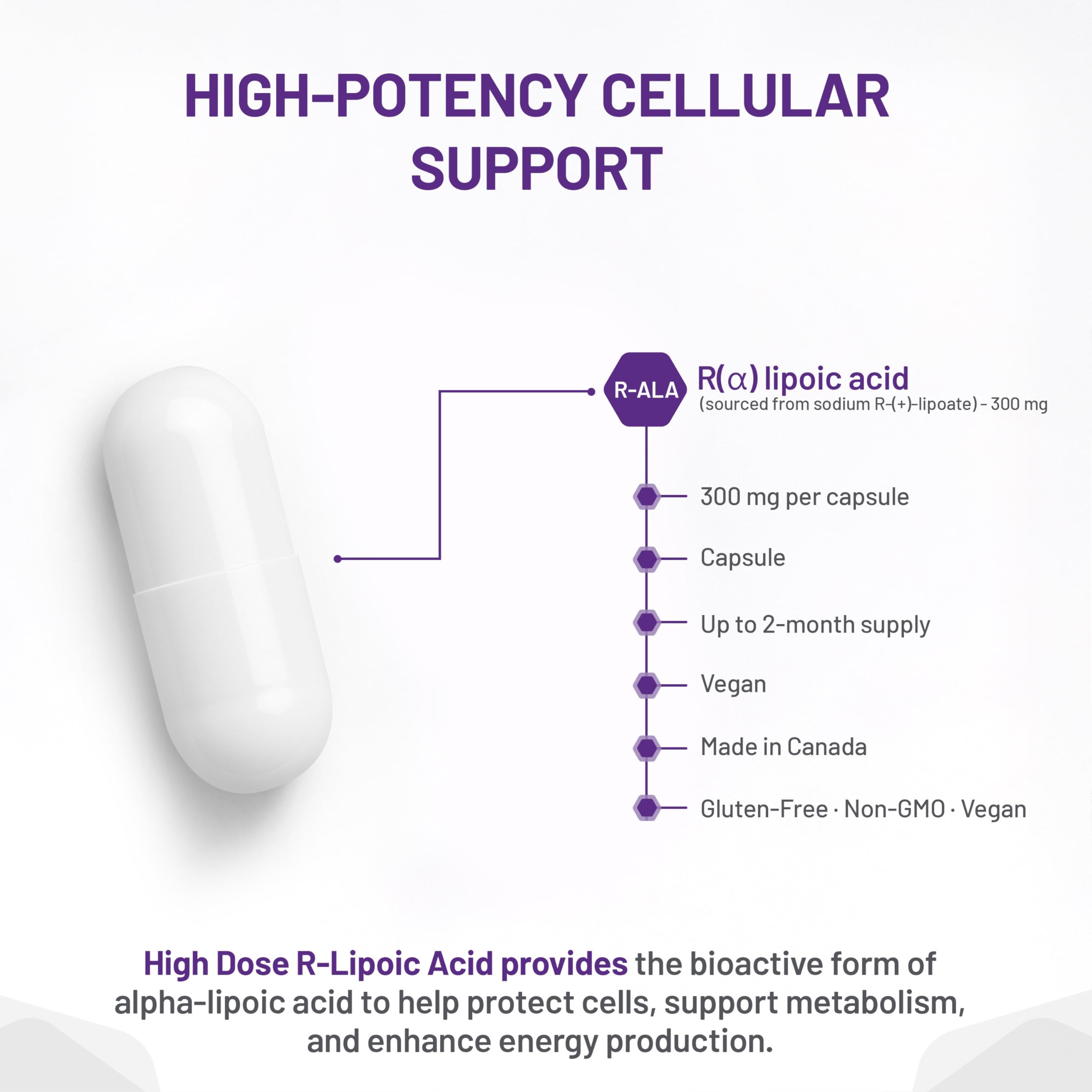 AOR High Dose R-Lipoic Acid 300mg 60 Capsules - Vegan & Gluten-Free Alpha Lipoic Acid Supplement, Support Antioxidant, Carbohydrate Metabolism, Digestive Wellness, Promote Liver Function