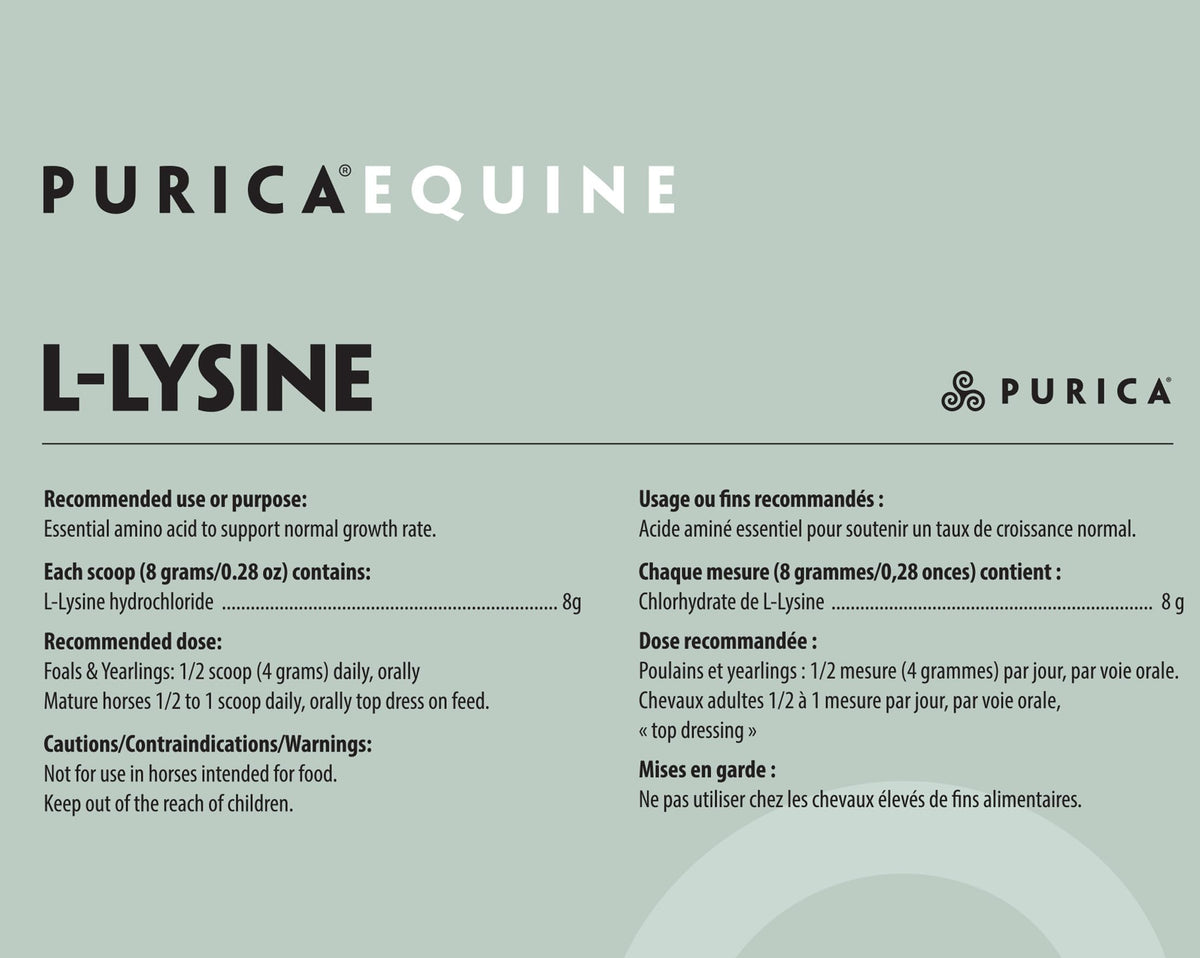 PURICA Lysine Powder for Horses, Collagen Support, Made in Canada, 800g