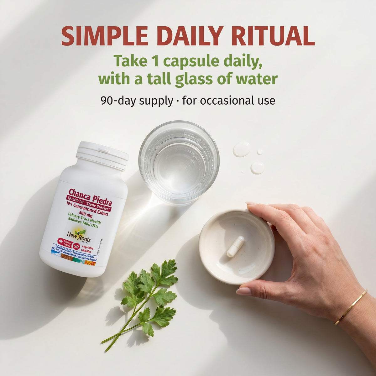 New Roots Herbal Chanca Piedra, 90 Plant-Based Capsules, 90 Day Supply for Optimal Urinary Tract Health and Digestion Support