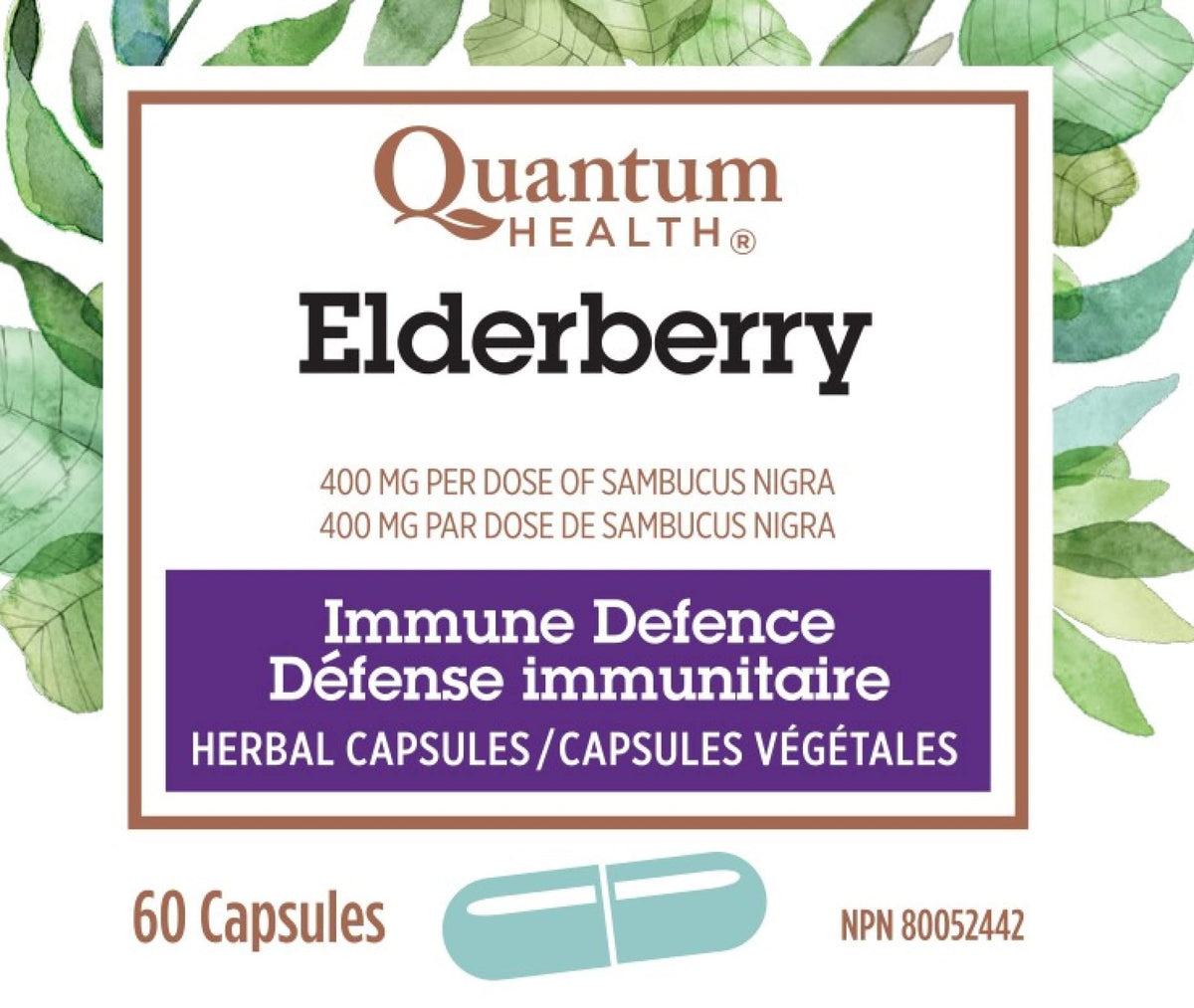 Quantum Health - Elderberry Standard Extract 60 Capsules