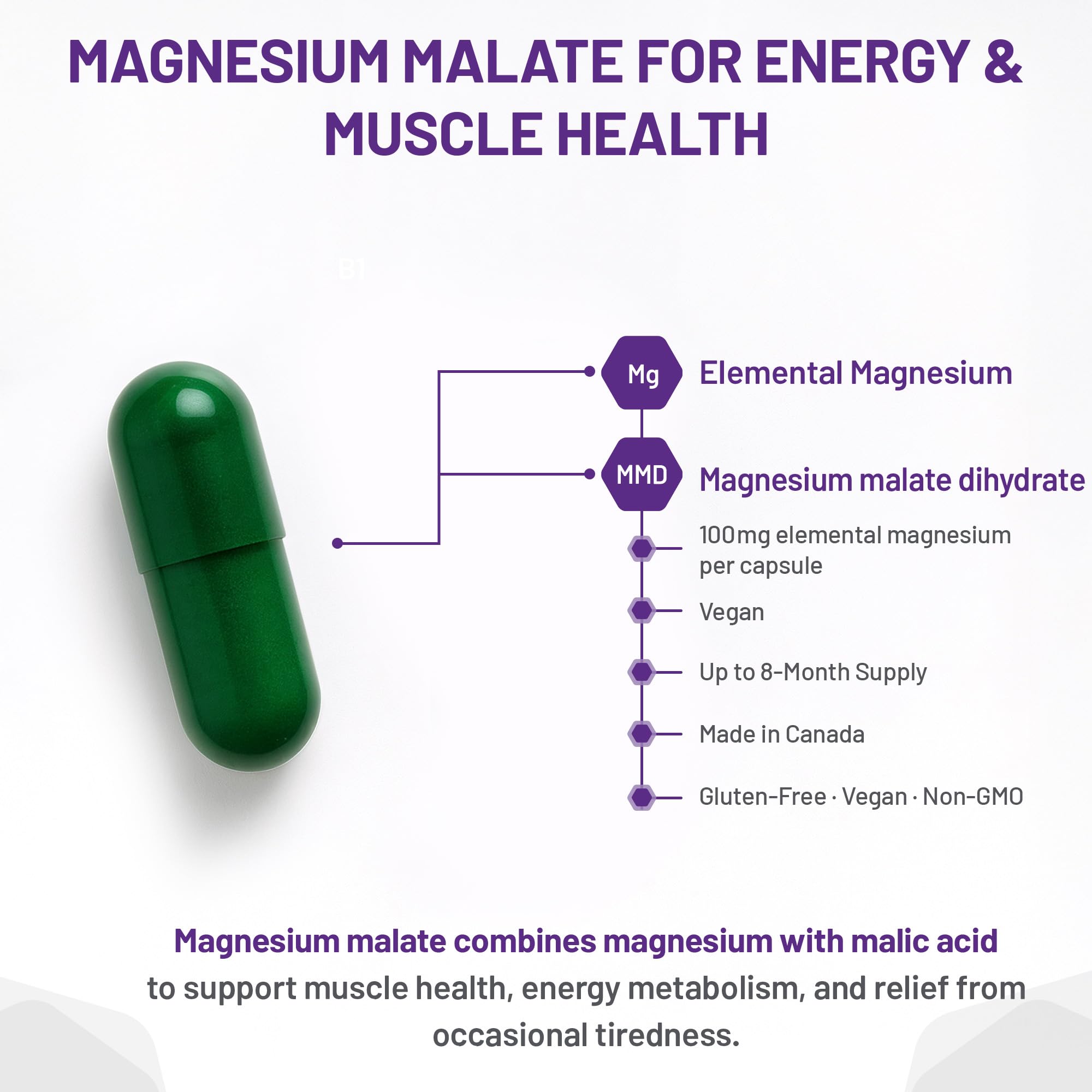 Mag Malate Renew 120 gélules