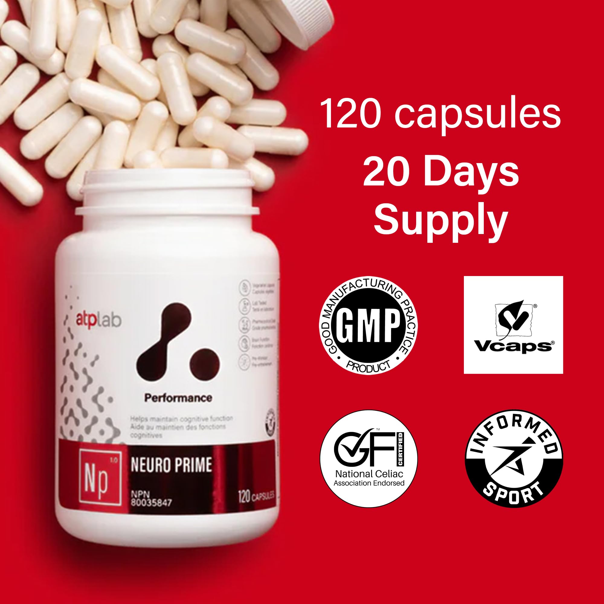 ATP LAB - Neuro Prime 120 Capsules - Brain and Memory Supplements - Memory & Focus Supplements - Cognitive Supplement & Fatigue Supplement - Mental Health
