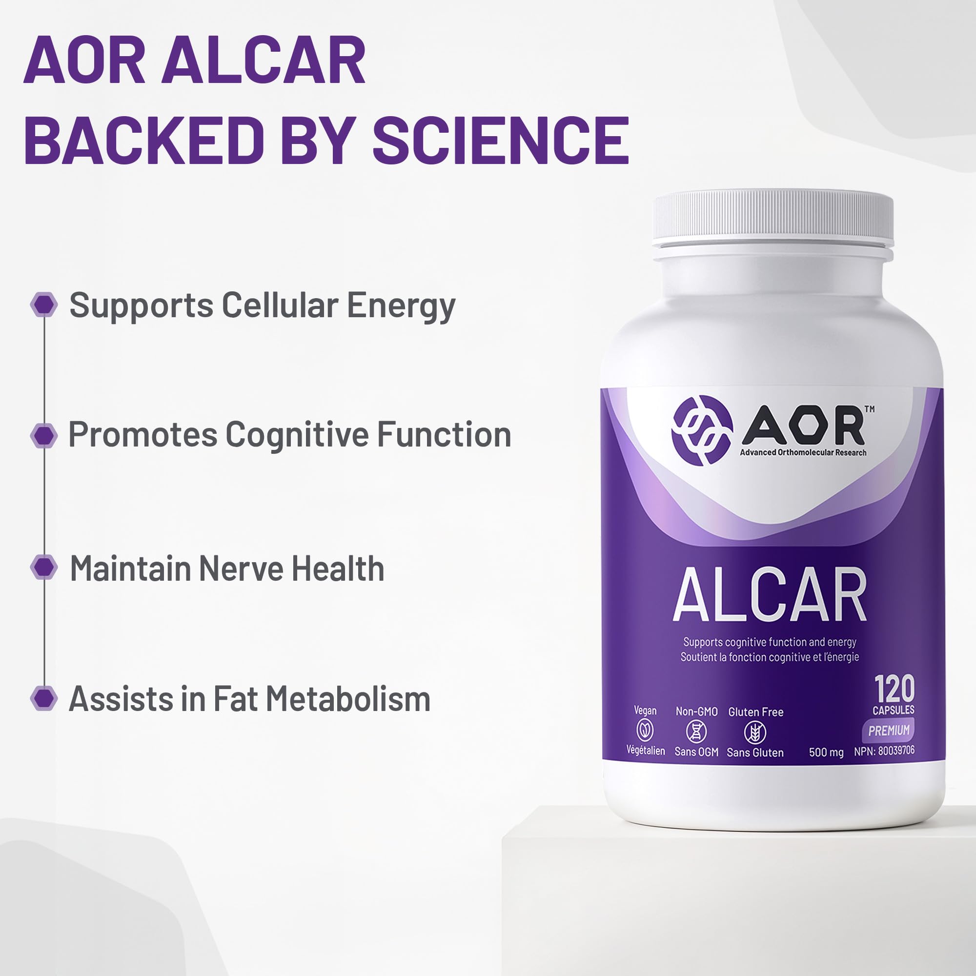 AOR ALCAR Acétyl-L-Carnitine 500mg 120 Gélules - Approvisionnement de 60 Jours - Supplément de L-Carnitine pour le Soutien Énergétique, la Performance Cognitive, la Clarté Mentale, Sans OGM, Végétalien, Format Pratique pour un Mode de Vie Équilibré