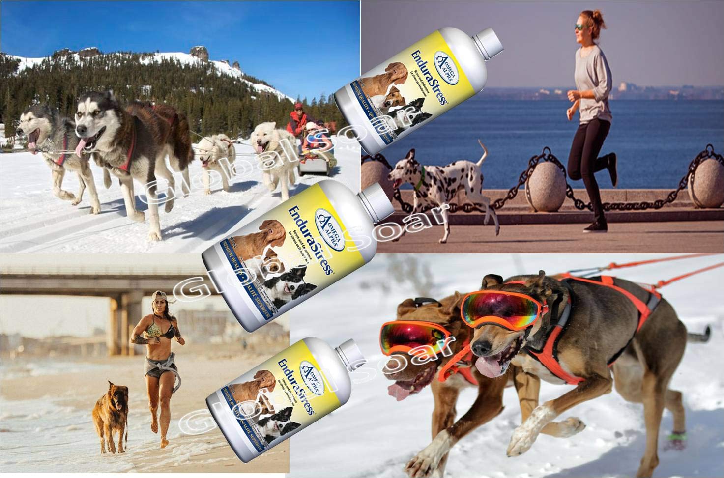 Vitamines et suppléments EnduraStress pour chiens, complément stimulant l'énergie, la concentration et l'endurance, soulagement de l'anxiété canine, calmant pour chiots, friandises calmantes pour chiens anxieux, 500 ml