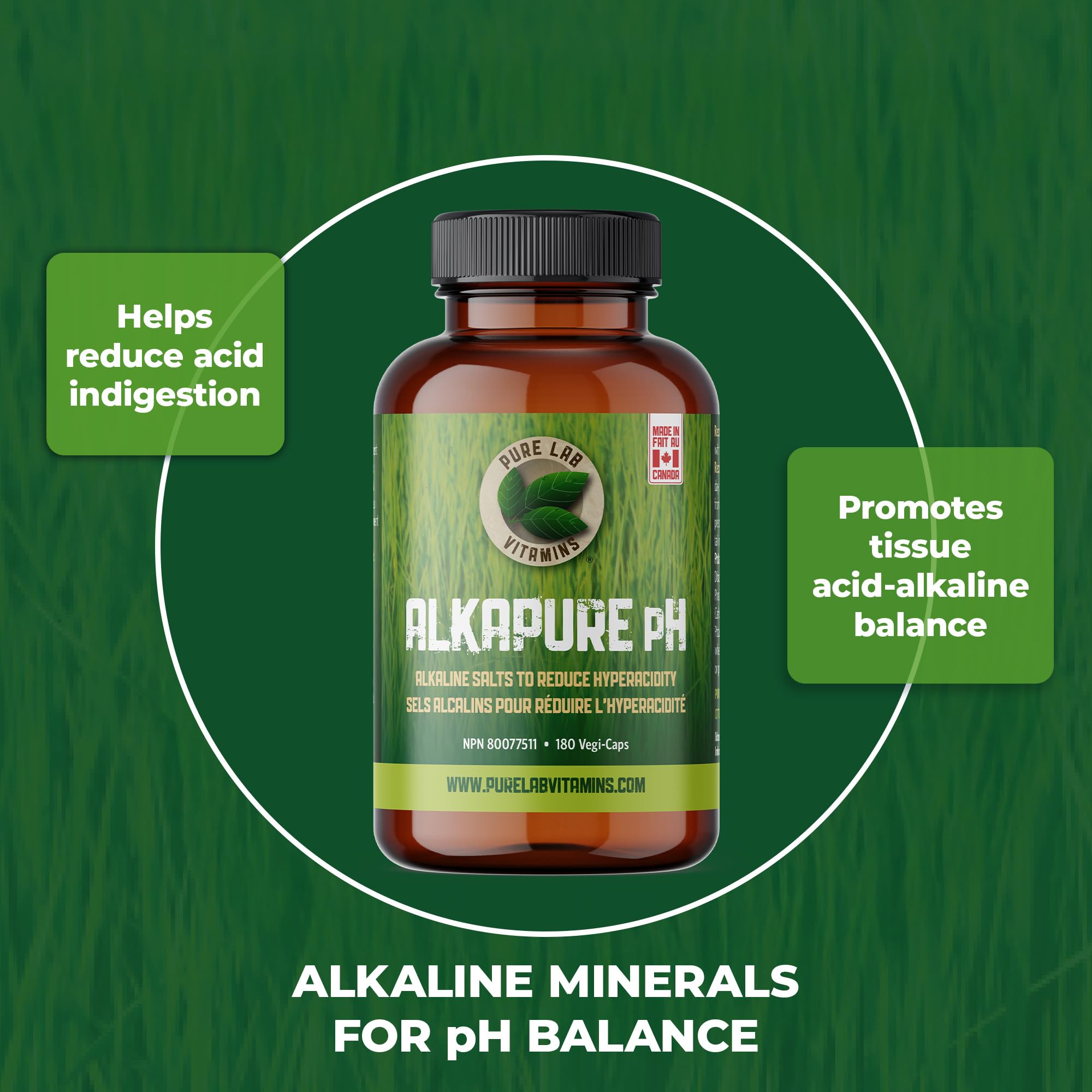 Pure Lab Vitamins Alkapure pH – Sels alcalins pour réduire l'hyperacidité