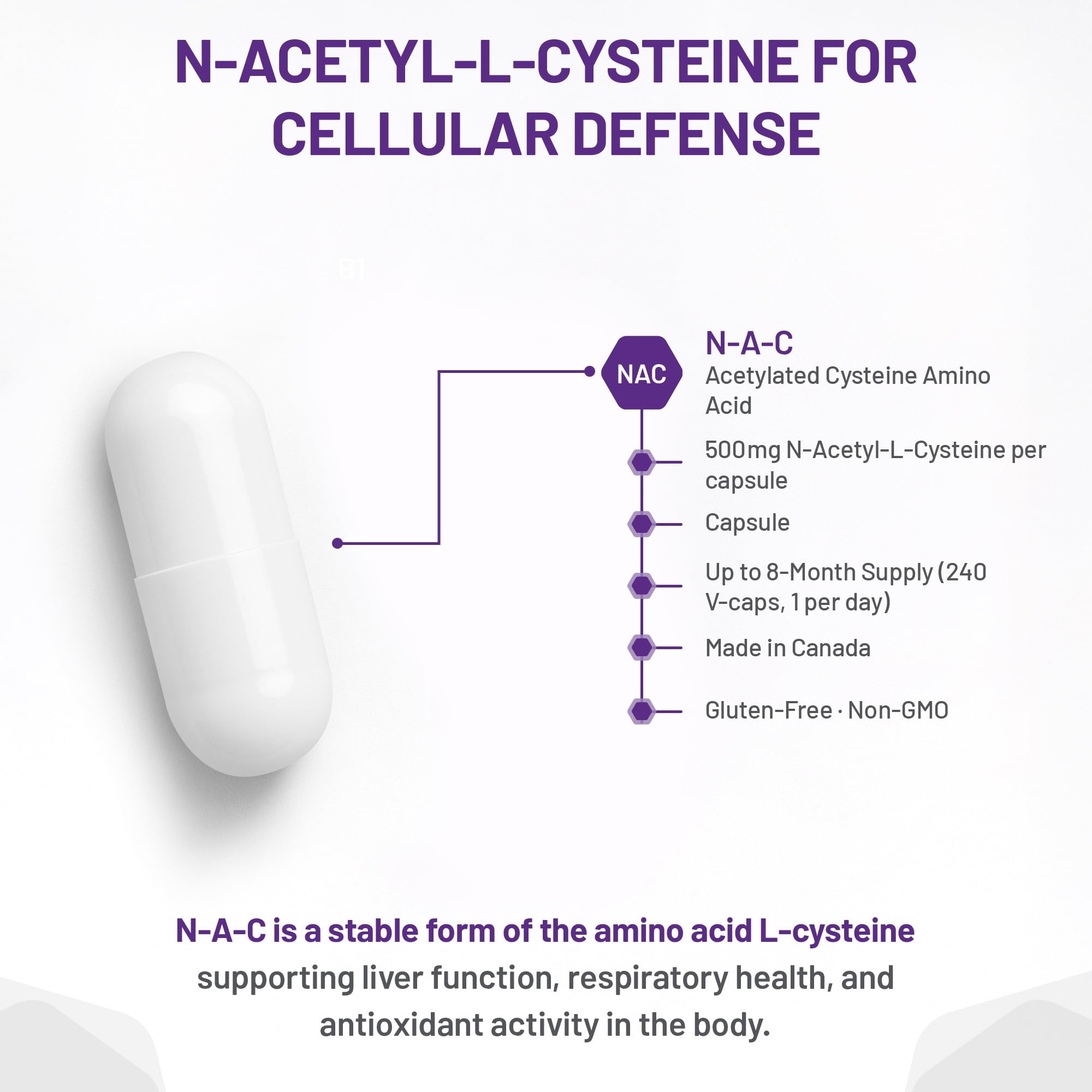 AOR N-A-C N-Acetyl Cysteine 500mg 240 Caps, 8-Month Supply, Support Balanced Immune System, Promotes Glutathione Level, Healthy Respiratory Function, Skin Health & Liver Wellness, Gluten-Free, Non-GMO