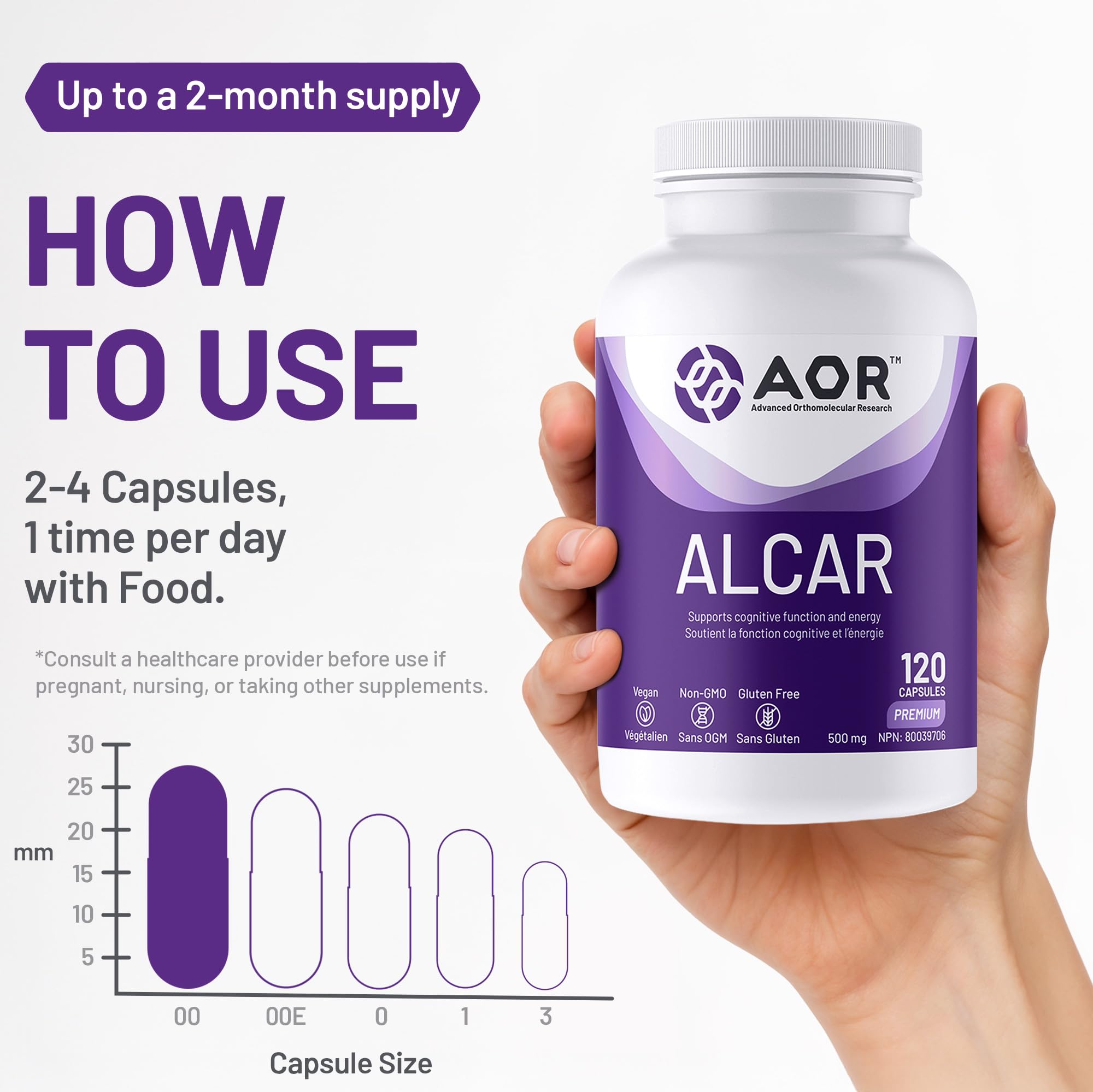 AOR ALCAR Acétyl-L-Carnitine 500mg 120 Gélules - Approvisionnement de 60 Jours - Supplément de L-Carnitine pour le Soutien Énergétique, la Performance Cognitive, la Clarté Mentale, Sans OGM, Végétalien, Format Pratique pour un Mode de Vie Équilibré