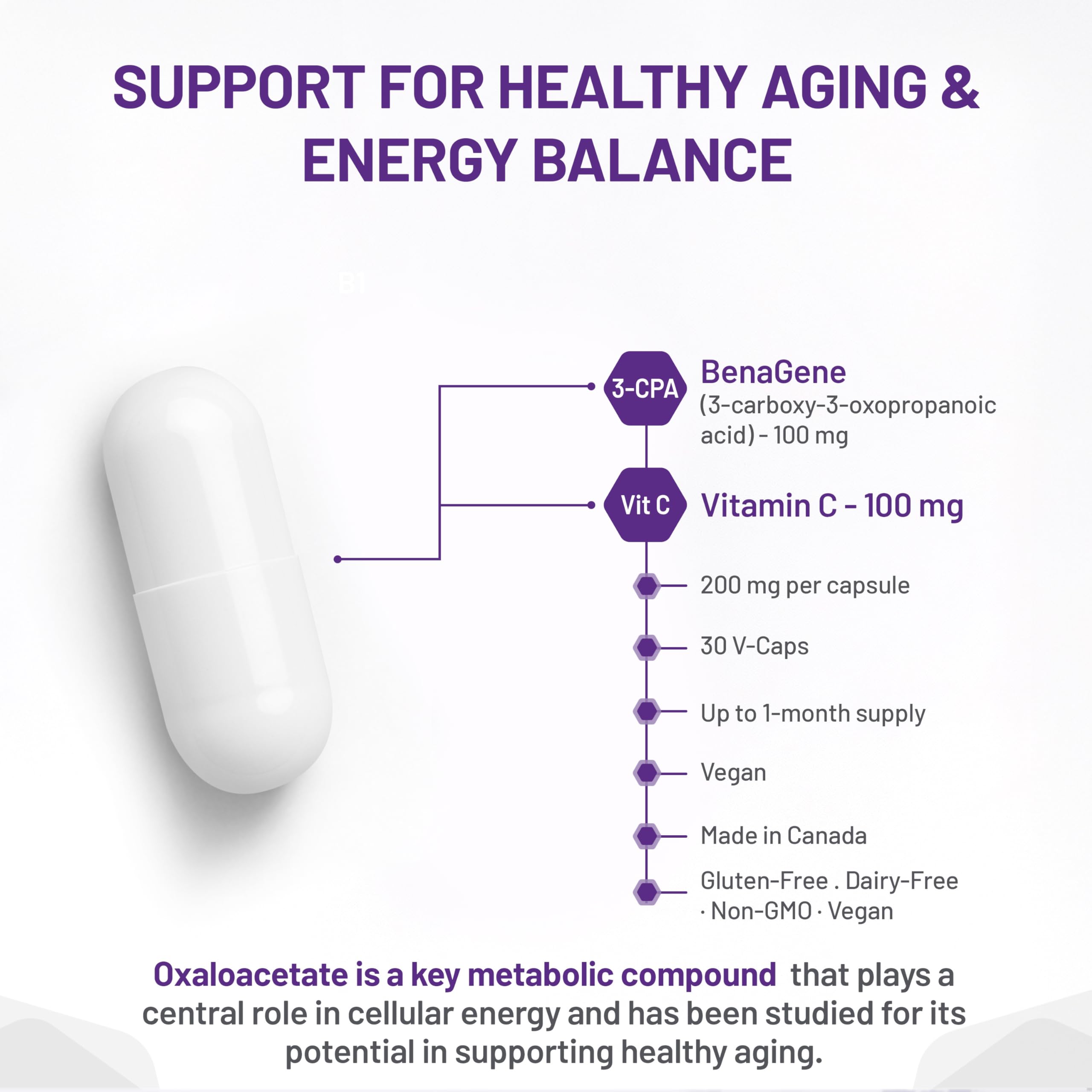 AOR Benagene 200 mg avec Vitamine C, 30 gélules (30 jours d'approvisionnement) - Complément végétalien et sans OGM, Concentration Mentale, Amélioration de l'Énergie et Soutien Cutané, Formule sans Gluten avec des Bienfaits Antioxydants et de Longévité