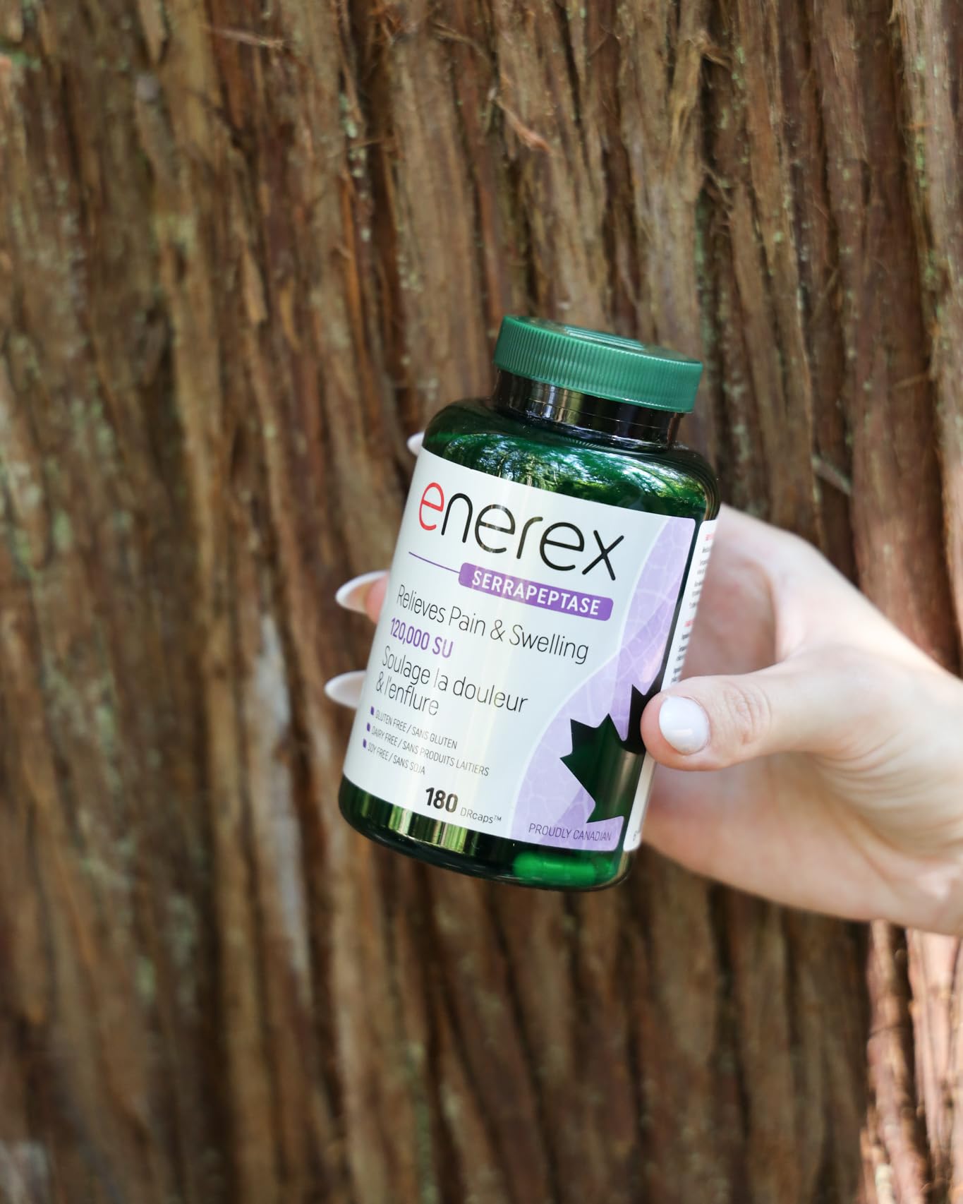 Enerex Serrapeptase 120 000 SU 180 DRcaps – Supplément enzymatique à haute puissance – Serrapeptase 120 000 SPU pour un soutien naturel – Supplément de serrapeptase pour le bien-être général