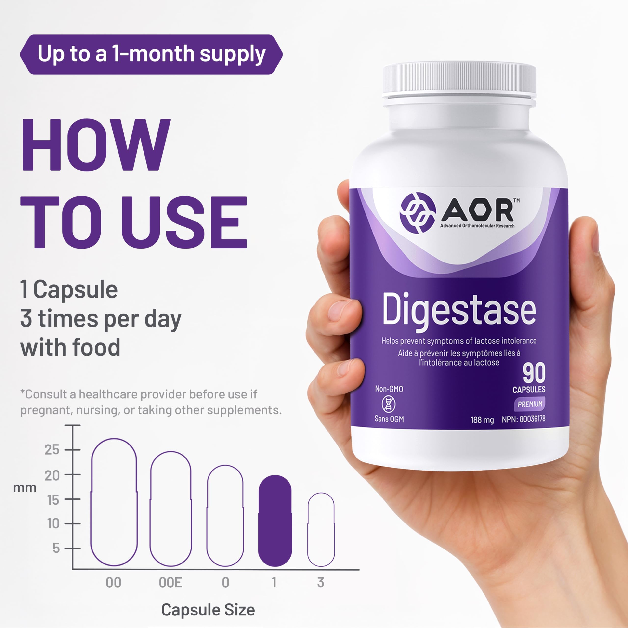 AOR Digestase, 90 Capsules 30-Day Supply - Digestive Enzyme Supplement - Supports Digestion, Eases Gas & Bloating - Gluten-Free, Non-GMO, Vegan - Lactose Support Enzymes - Promotes Digestive Comfort
