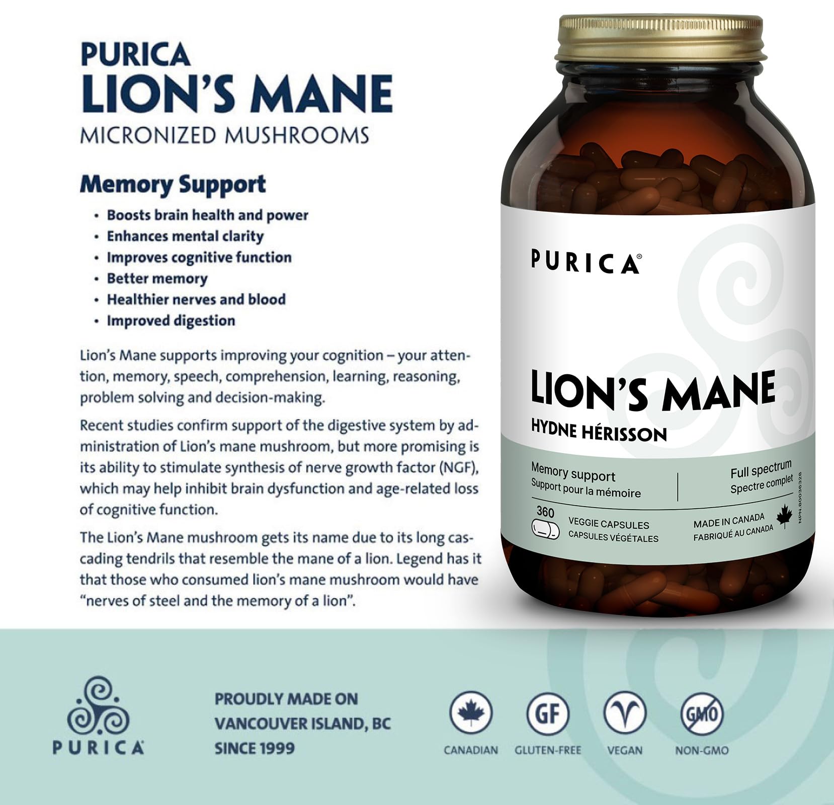 PURICA Crinière de Lion Biologique - Complément pour la Santé Cérébrale, Mémoire et Concentration, Gélules 100% Naturelles, Véganes