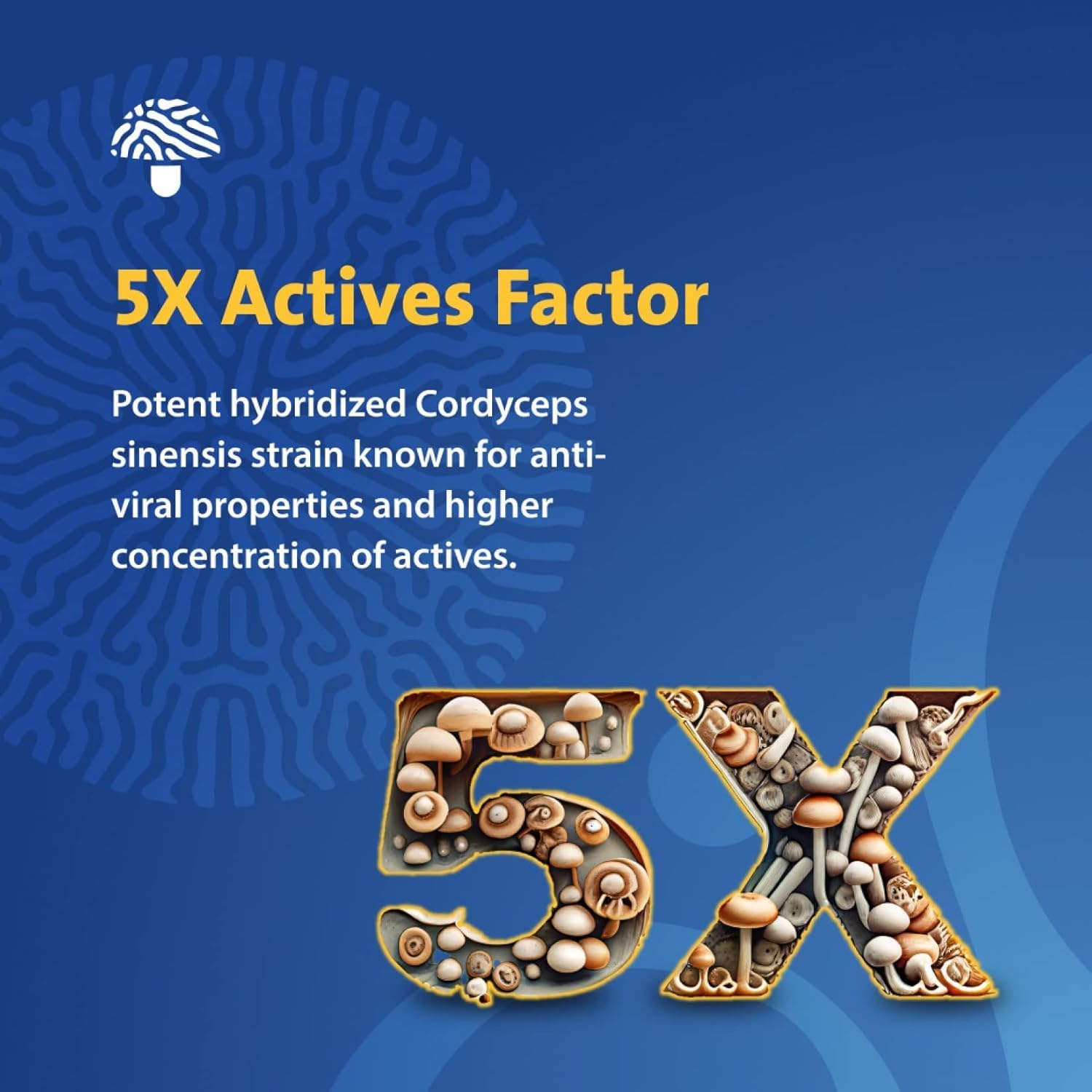 PURICA Cordyceps Champignons micronisés