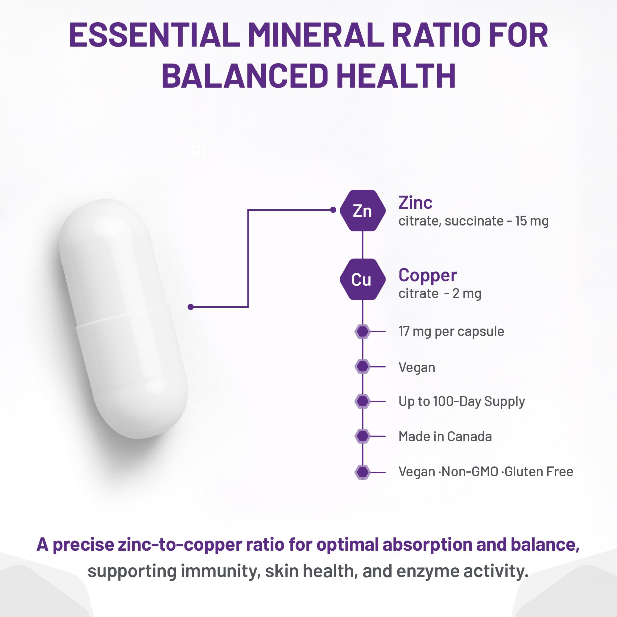 AOR Zinc Copper Balance 17mg, 100 V-Caps, 100-Day Supply - Nutrient Support for Skin, Hair, Bone & Overall Wellness, NON-GMO & Gluten-Free, Easy-to-Swallow, Zinc & Copper Supplements for Men & Women