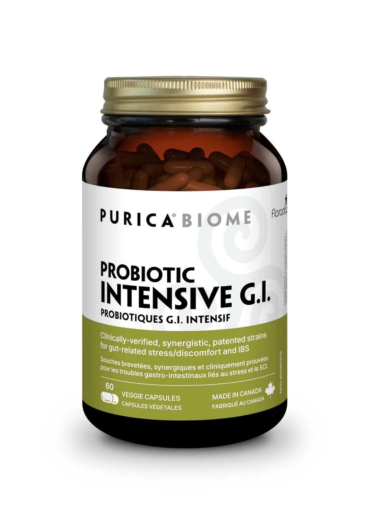 PURICA Floradapt GI Daily Probiotic Capsules, 3 Billion CFU, 60 Day Supply