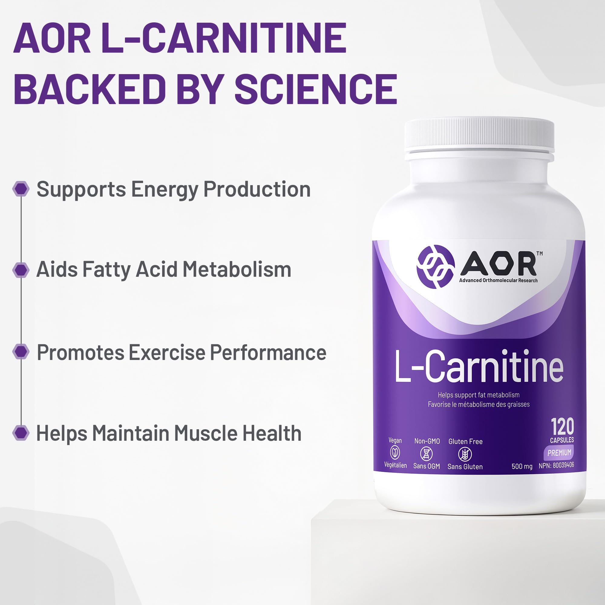 AOR - L-Carnitine 500mg, 120 Capsules 30-Day Supply - L-Carnitine Tartrate, Supports Energy Metabolism, Muscle Recovery & Athletic Performance, Promotes Fitness Goals - Vegan, Non-GMO, & Gluten-Free