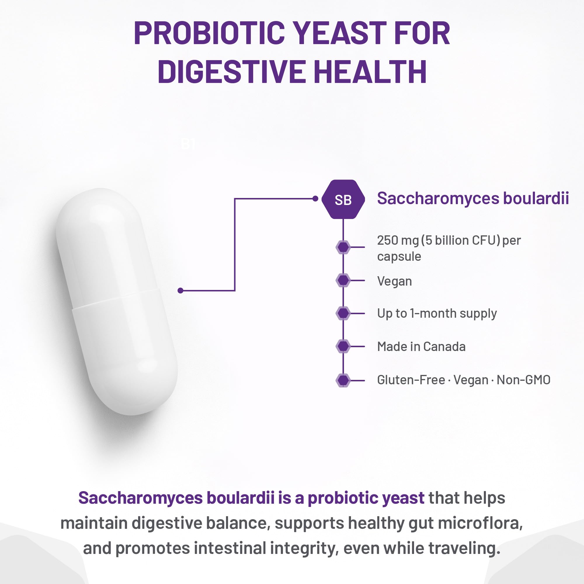 AOR Saccharomyces Boulardii Probiotique 250mg 90 Gélules pour 30 jours – 5 milliards, Végétalien, Sans OGM et Sans Gluten – Soutien digestif pour la fonction intestinale, Stable à température ambiante