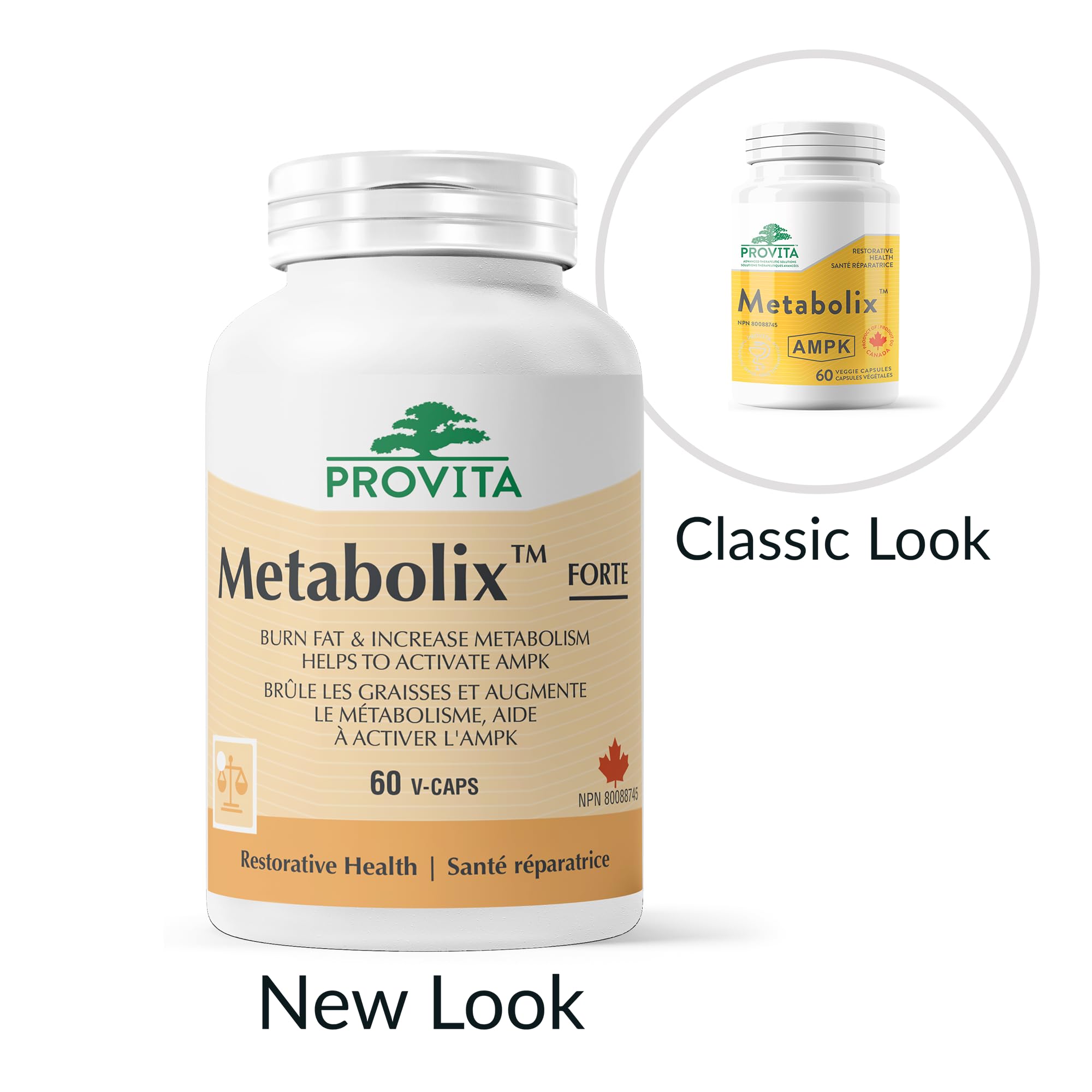 Provita Metabolix AMPK™: Cellular Energy Enhancer - Promotes Healthy Glucose Metabolism & Reduces Blood Lipid Levels (60 Capsules)